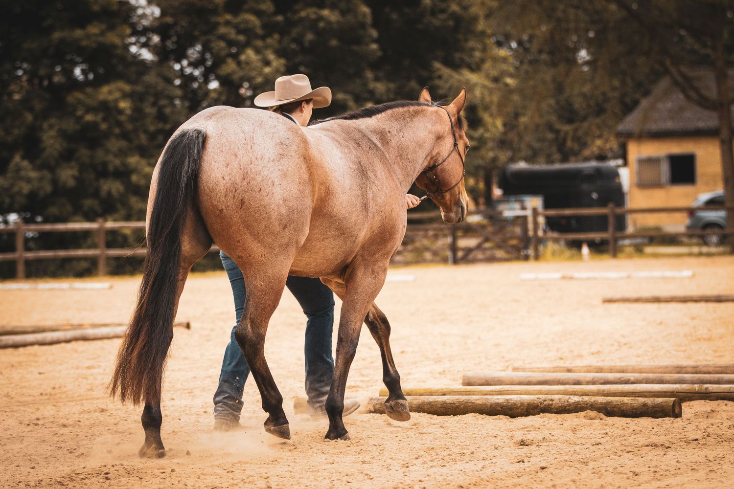 Cowboy in hat walking beside brown horse in sandy outdoor riding arena.