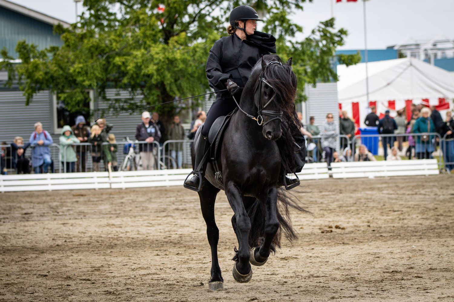 A rider dressed in all black rides a black horse in an equestrian arena with spectators watching in the background.