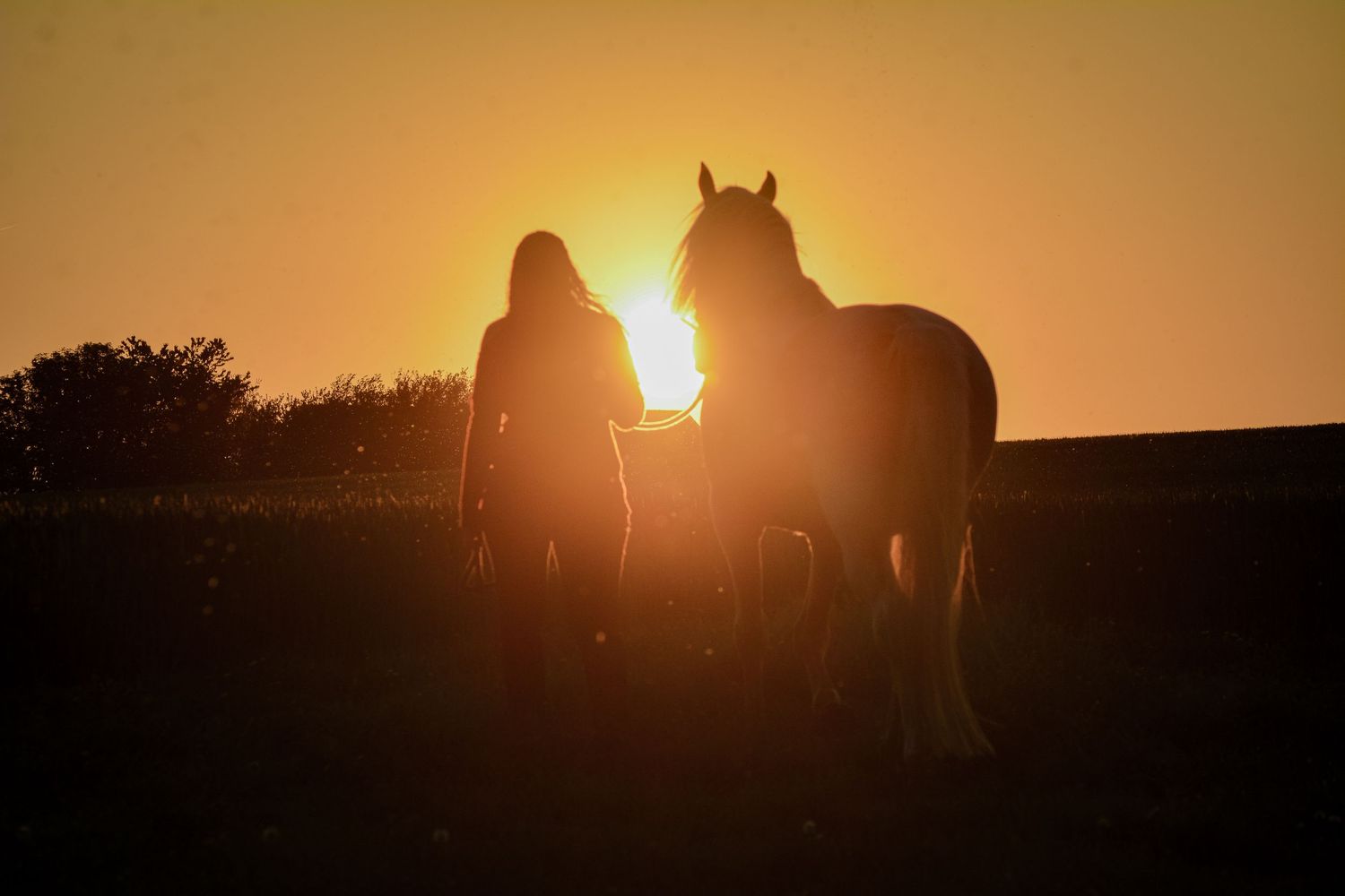 Silhouette of a woman and horse standing together at golden sunset in an open field.
