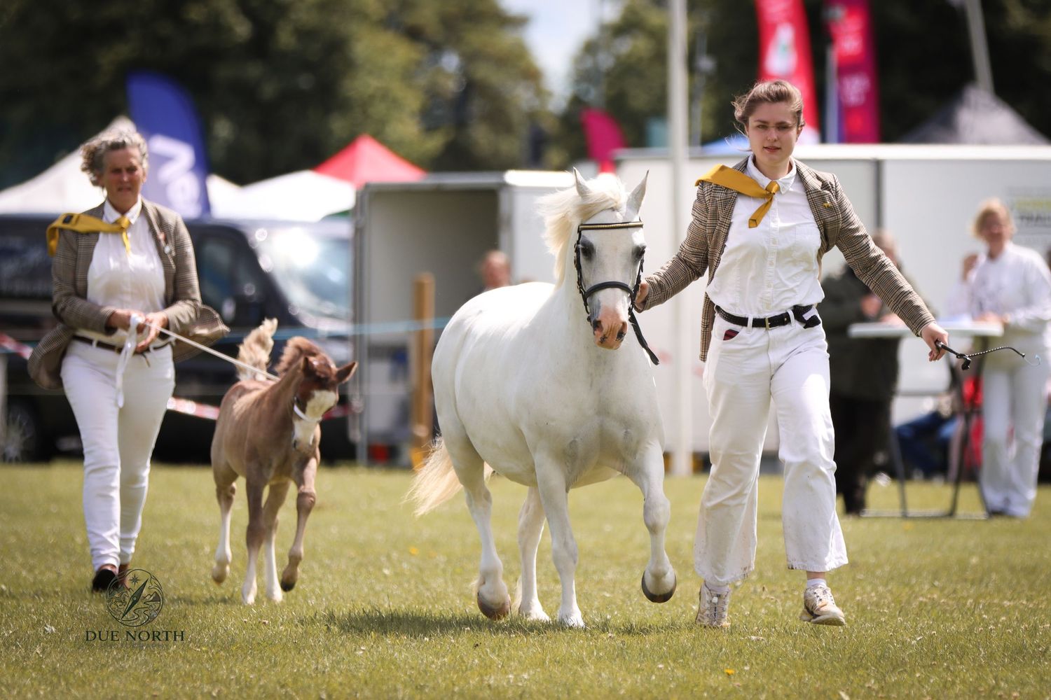 Two women lead a white pony and brown foal across green grass at an outdoor equestrian show.