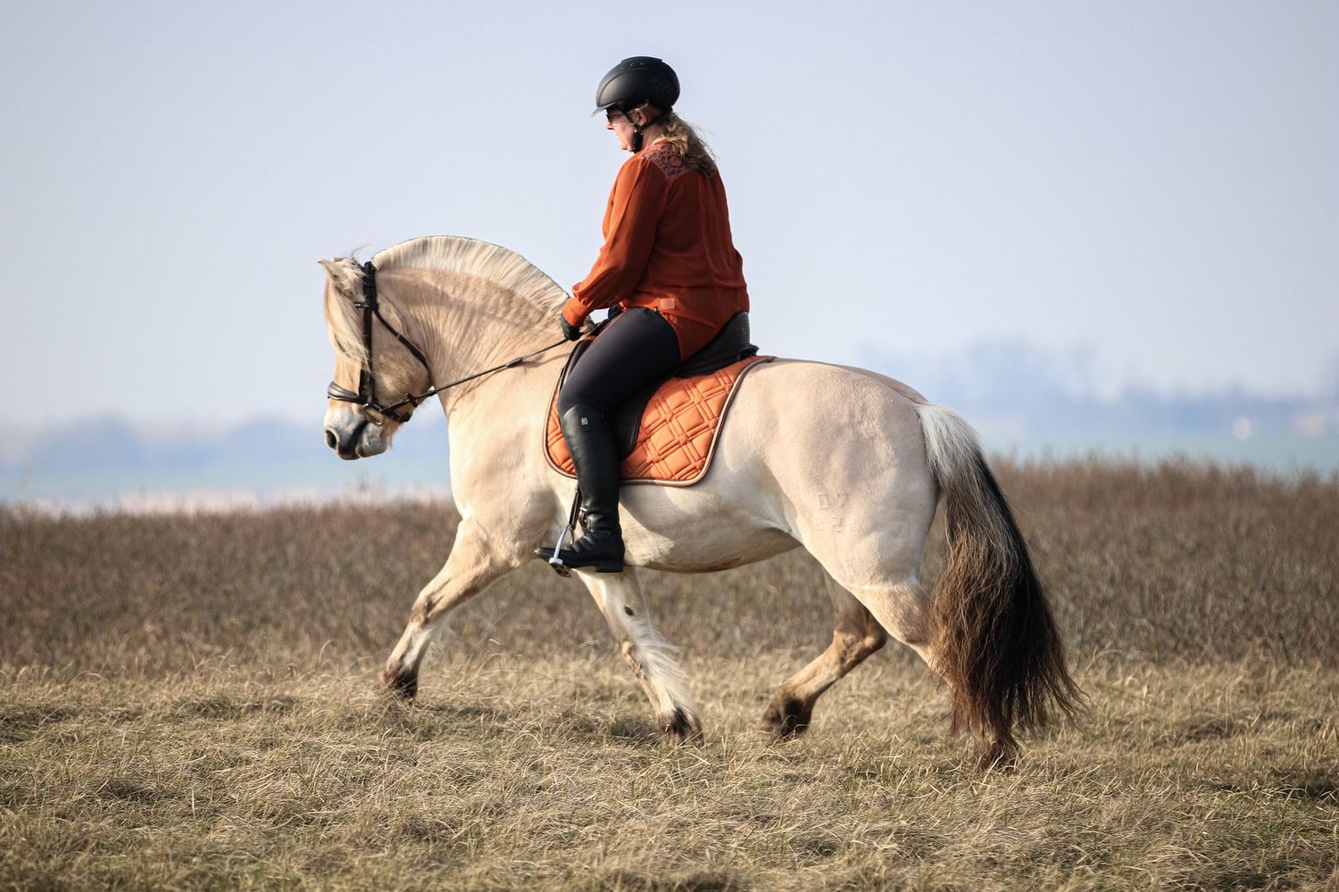 Rider in orange sweater and helmet cantering a gray horse across an open field.