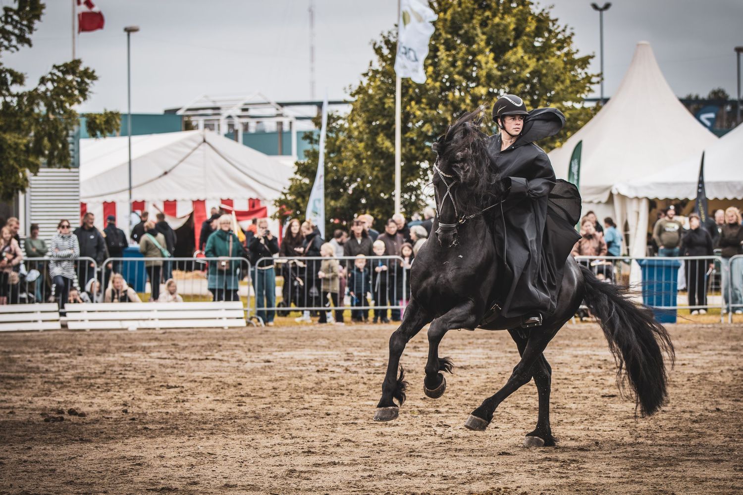 A rider in black performs a dramatic rearing move on a black horse at an outdoor equestrian show with spectators watching.