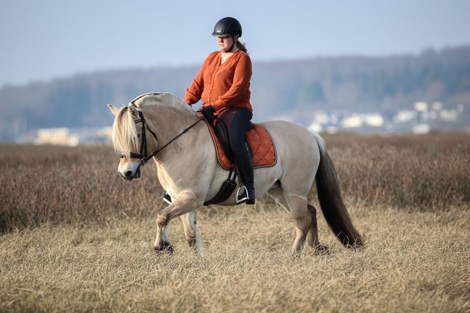 Equestrian in orange top and black helmet riding a dapple gray horse in dry grassland.