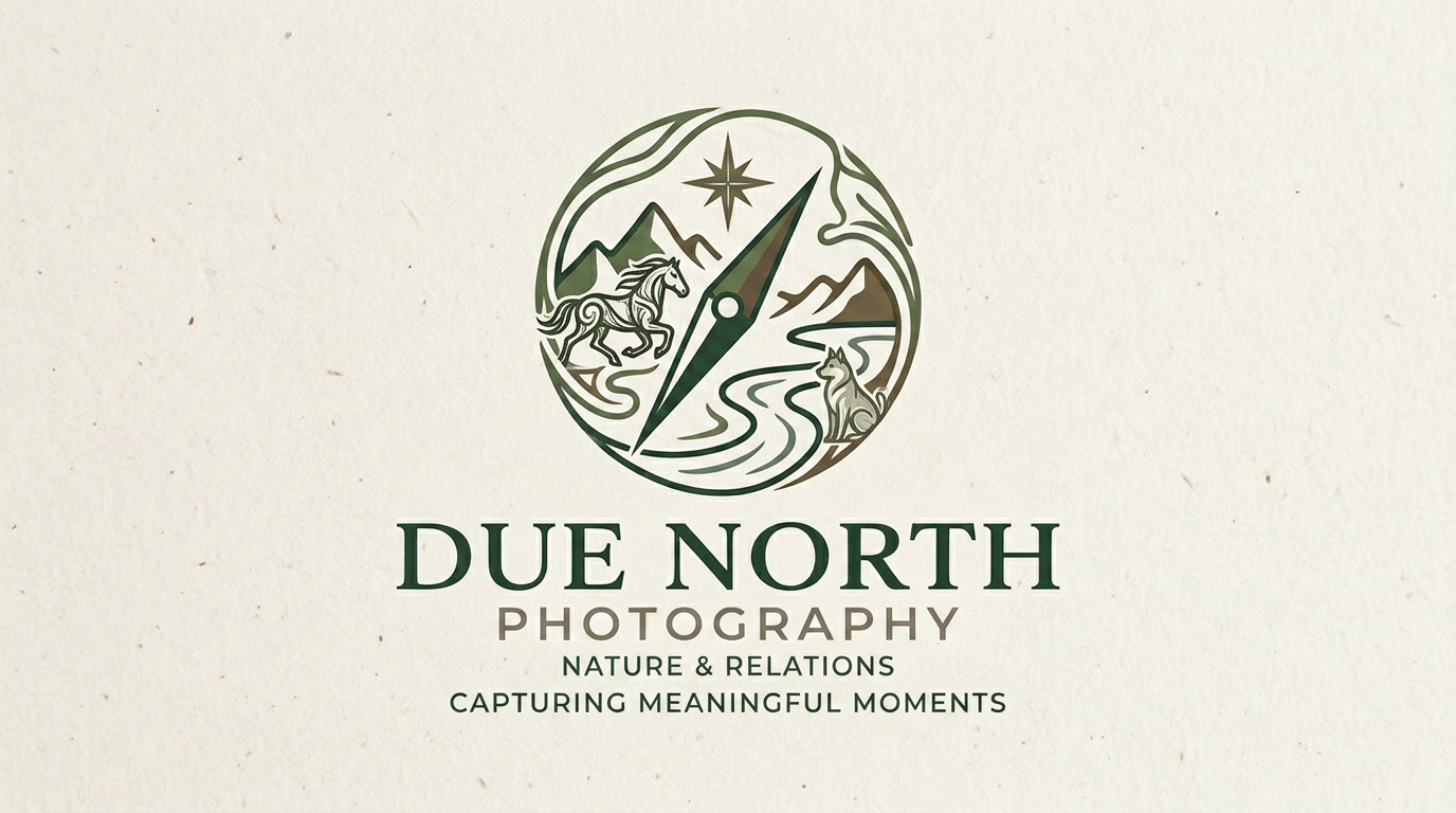 Due North Photography logo featuring a compass rose with nature scenes, mountains, and rivers on a textured cream background.