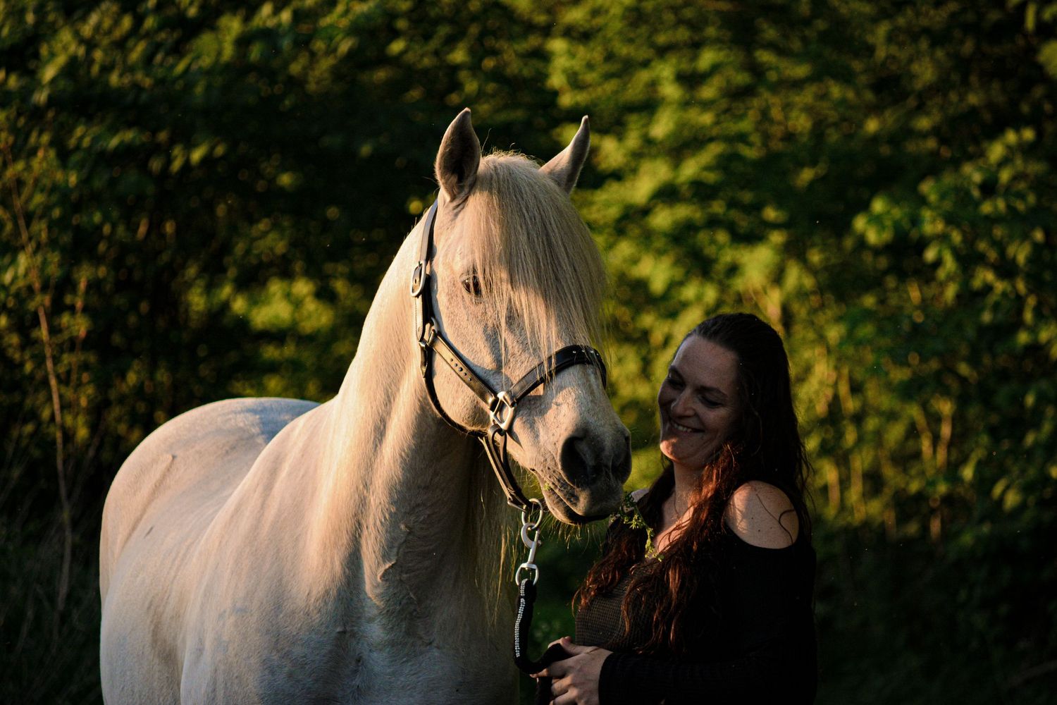 A smiling woman with long dark hair stands beside a white horse wearing a blue halter in a sunlit forest setting.
