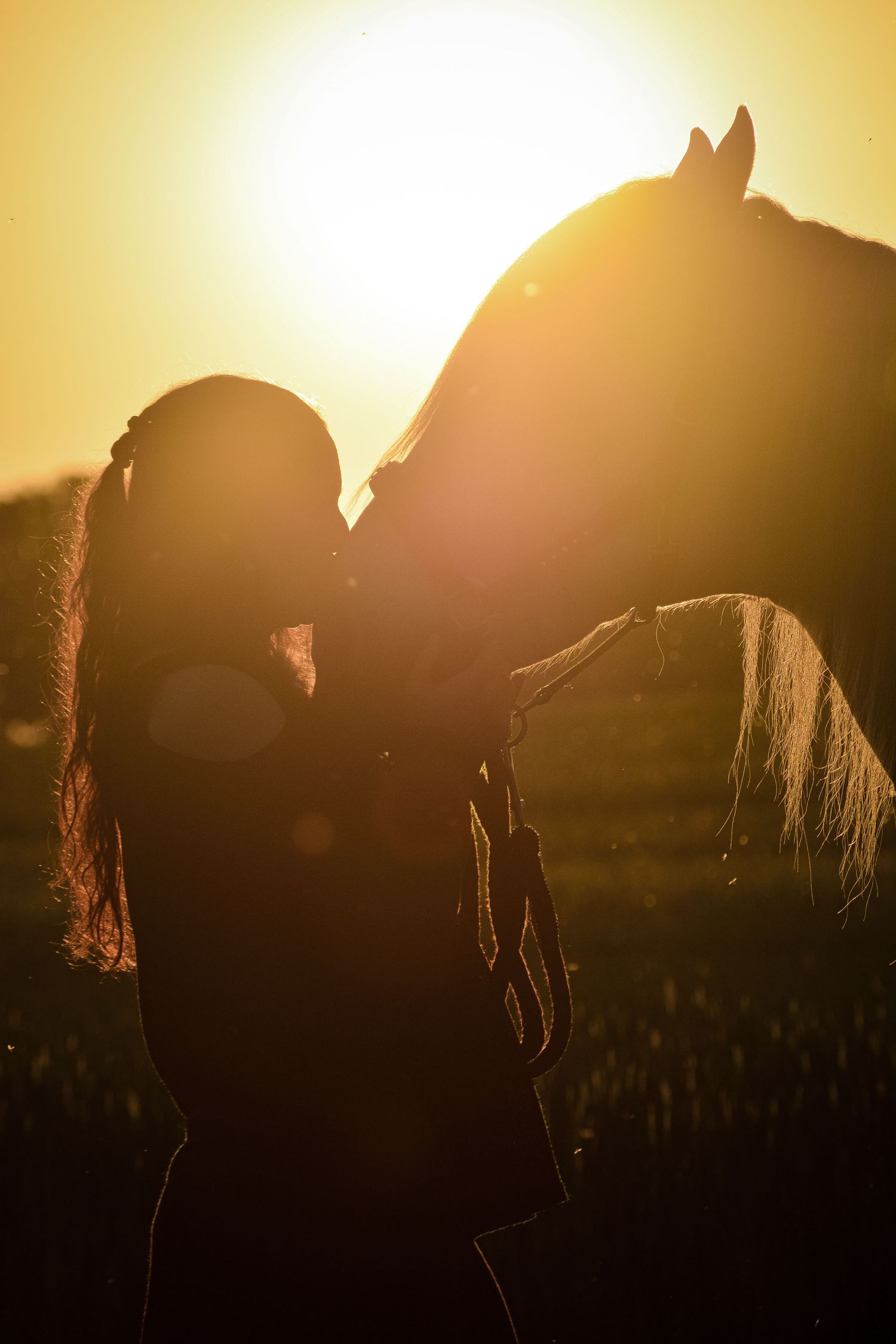 Silhouette of a woman and horse at golden sunset, backlit with warm glowing light in an open field.