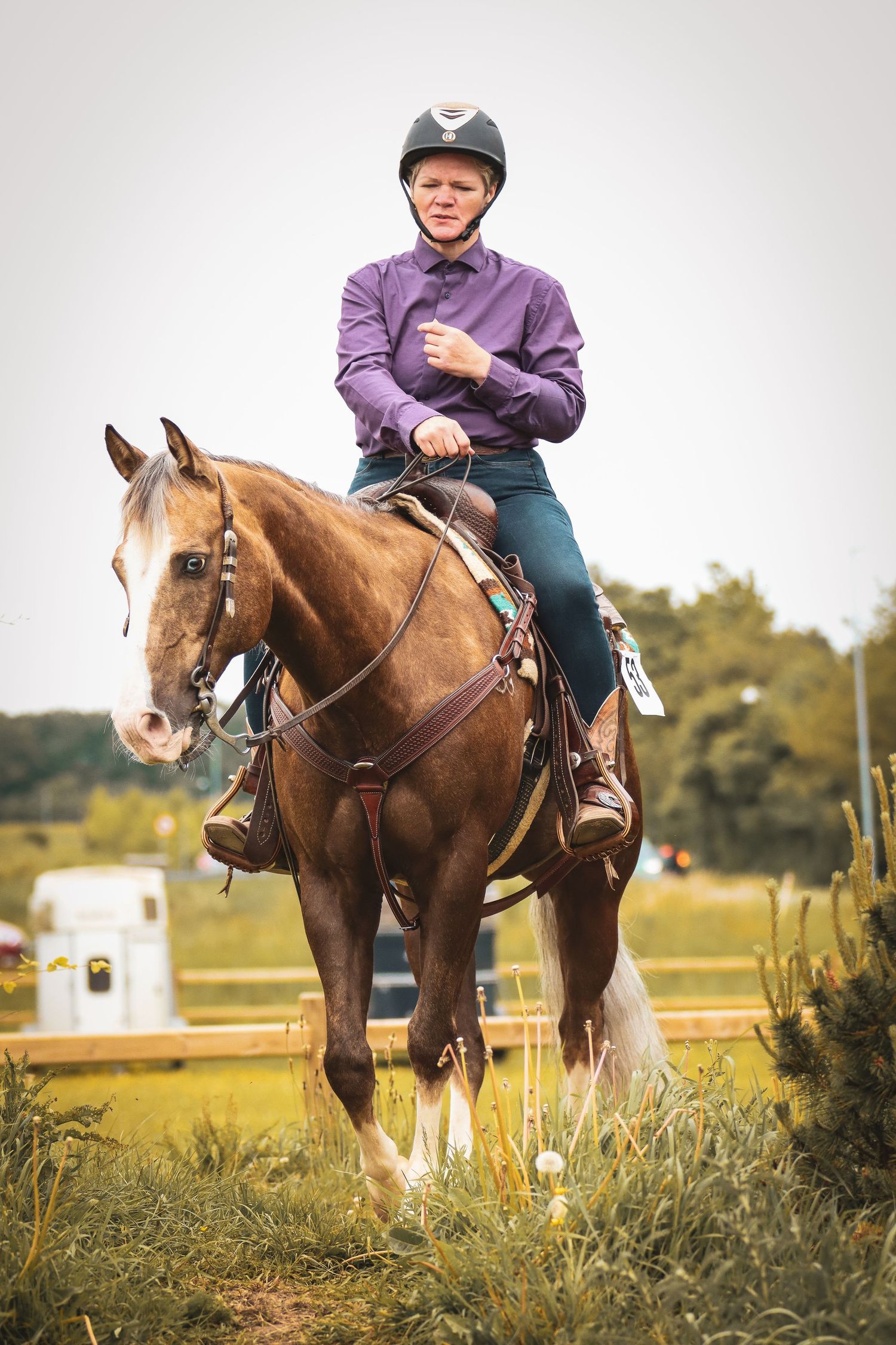Young equestrian in purple shirt and black helmet rides a chestnut horse in an outdoor competition arena.