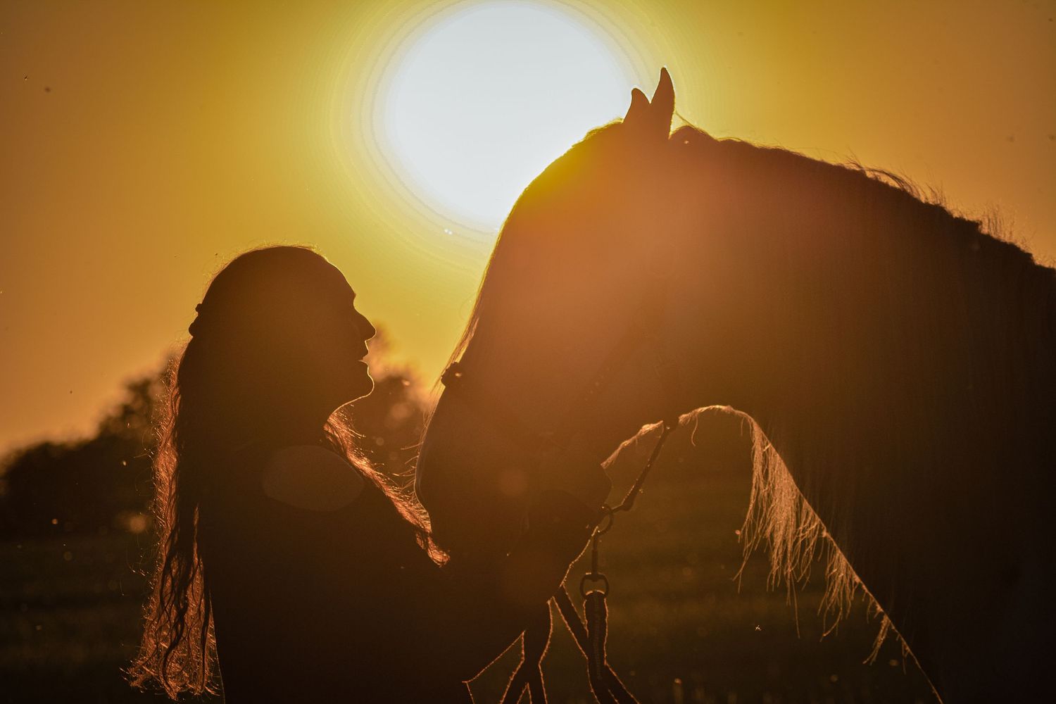 Romantic golden sunset silhouette of a woman gently nuzzling a horse in an open field.