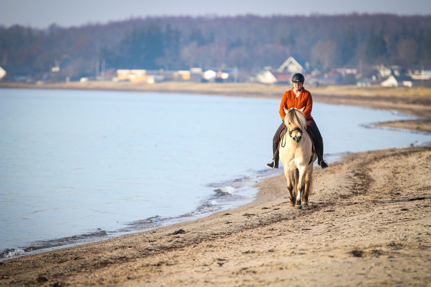Person in orange jacket riding a white horse along a sandy beach shoreline with calm water.