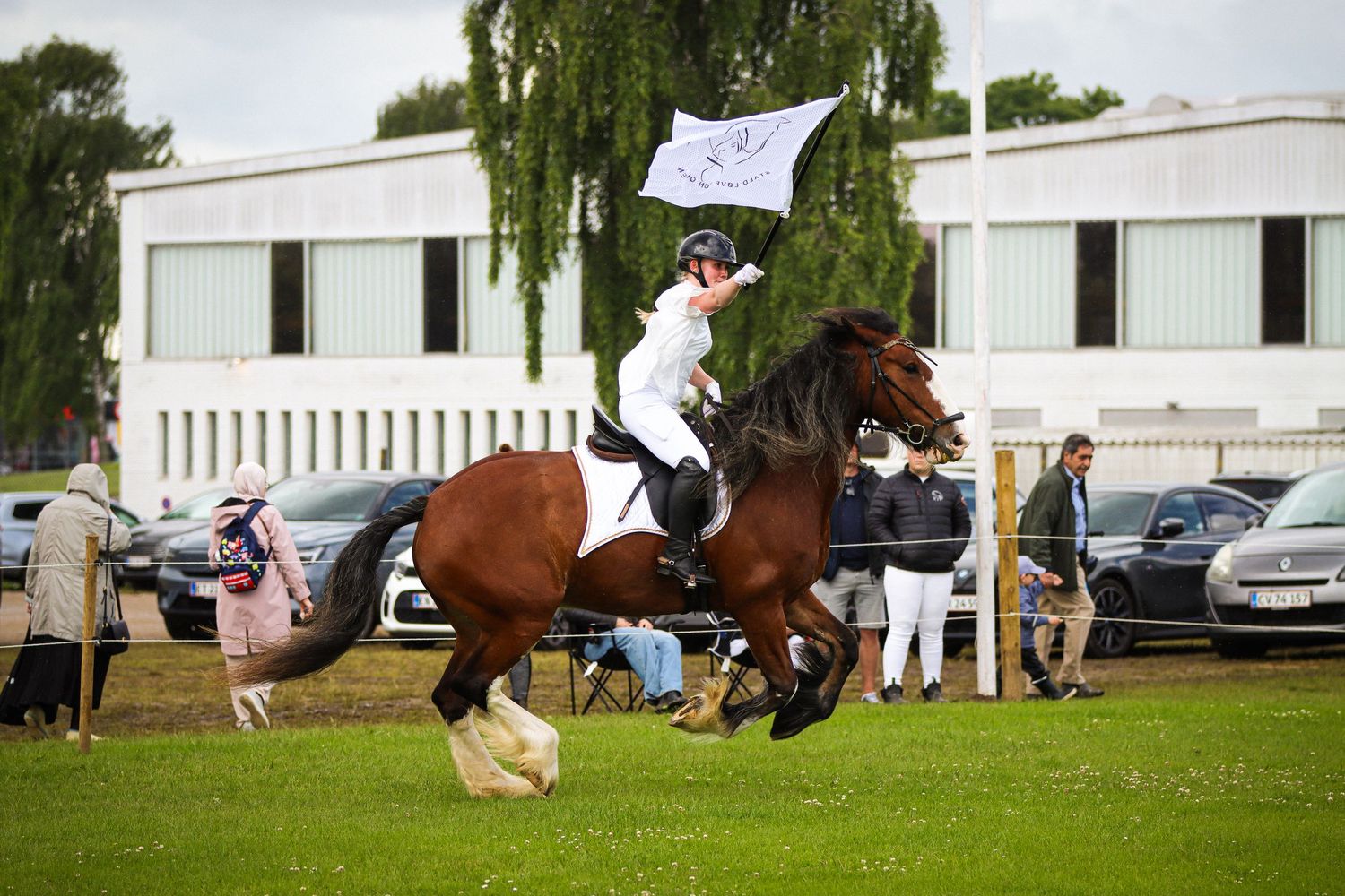 Rider on a brown and white horse holding a white flag while cantering at an outdoor equestrian event.