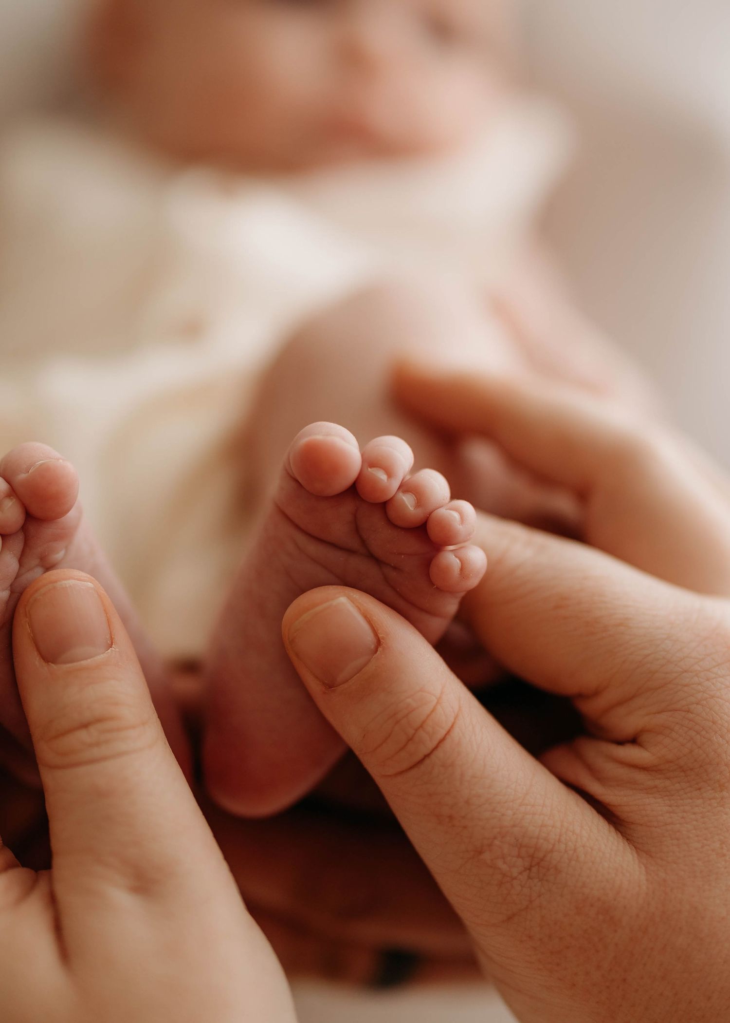Close-up of adult hands gently cradling tiny newborn baby feet, showcasing delicate toes in soft natural light. Lafayette indiana tippecanoe