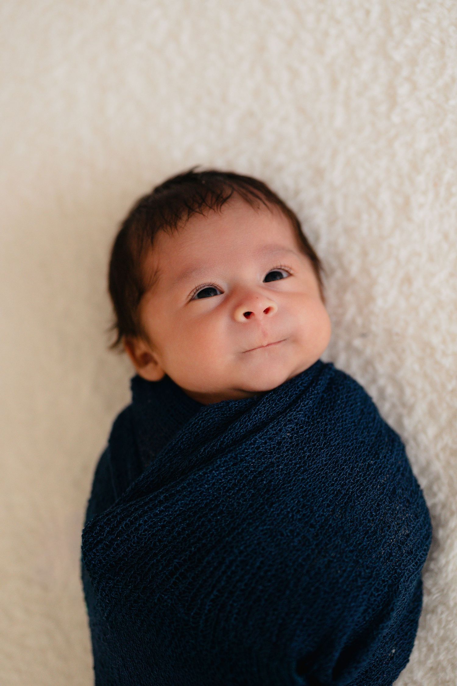 Alert newborn baby wrapped in navy blue swaddle looking up with bright eyes on white background. Lafayette indiana tippecanoe county