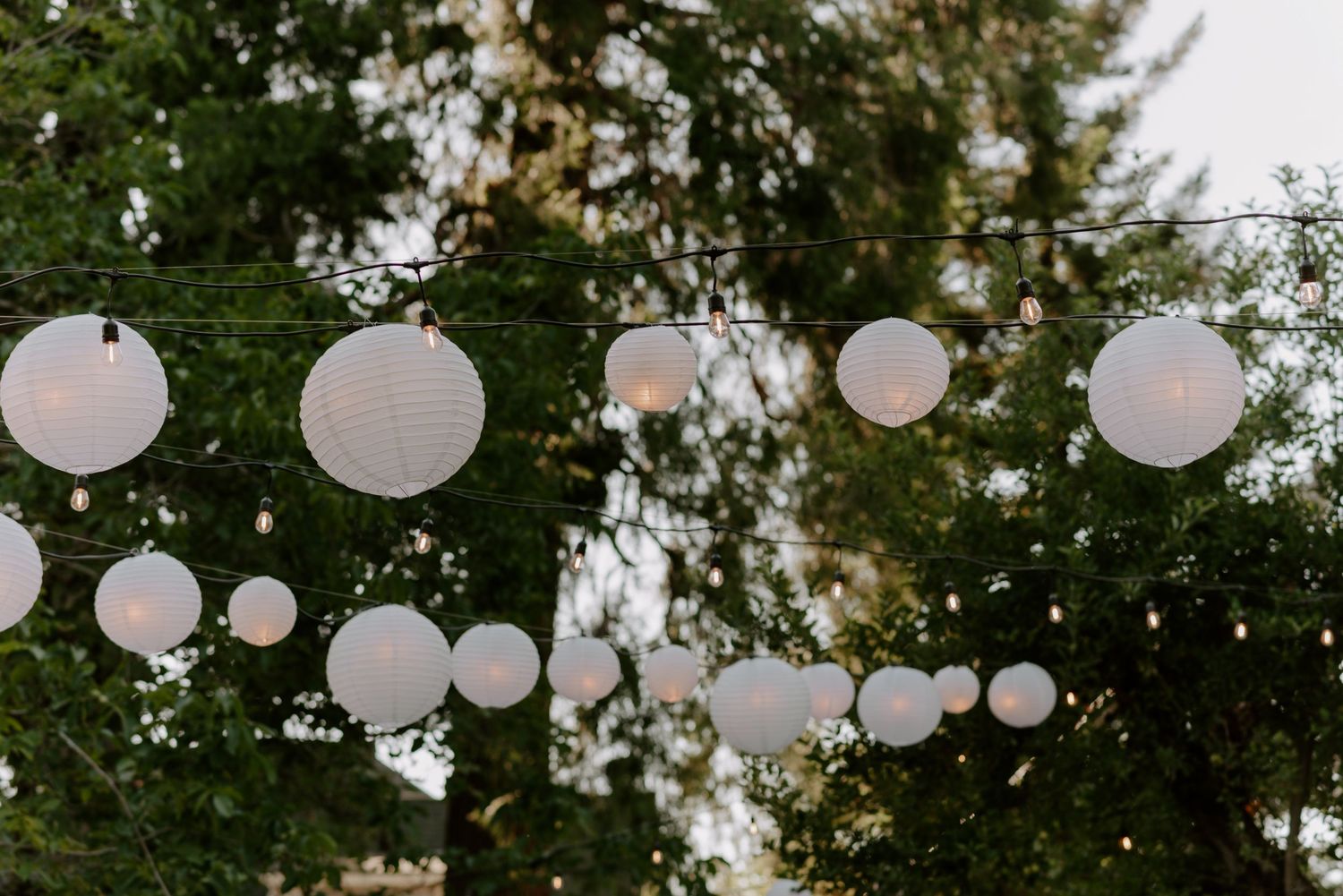 Sacramento wedding photographer,  Northern California Wedding Photographer, Sacramento documentary style photographer, Sacramento Photograph