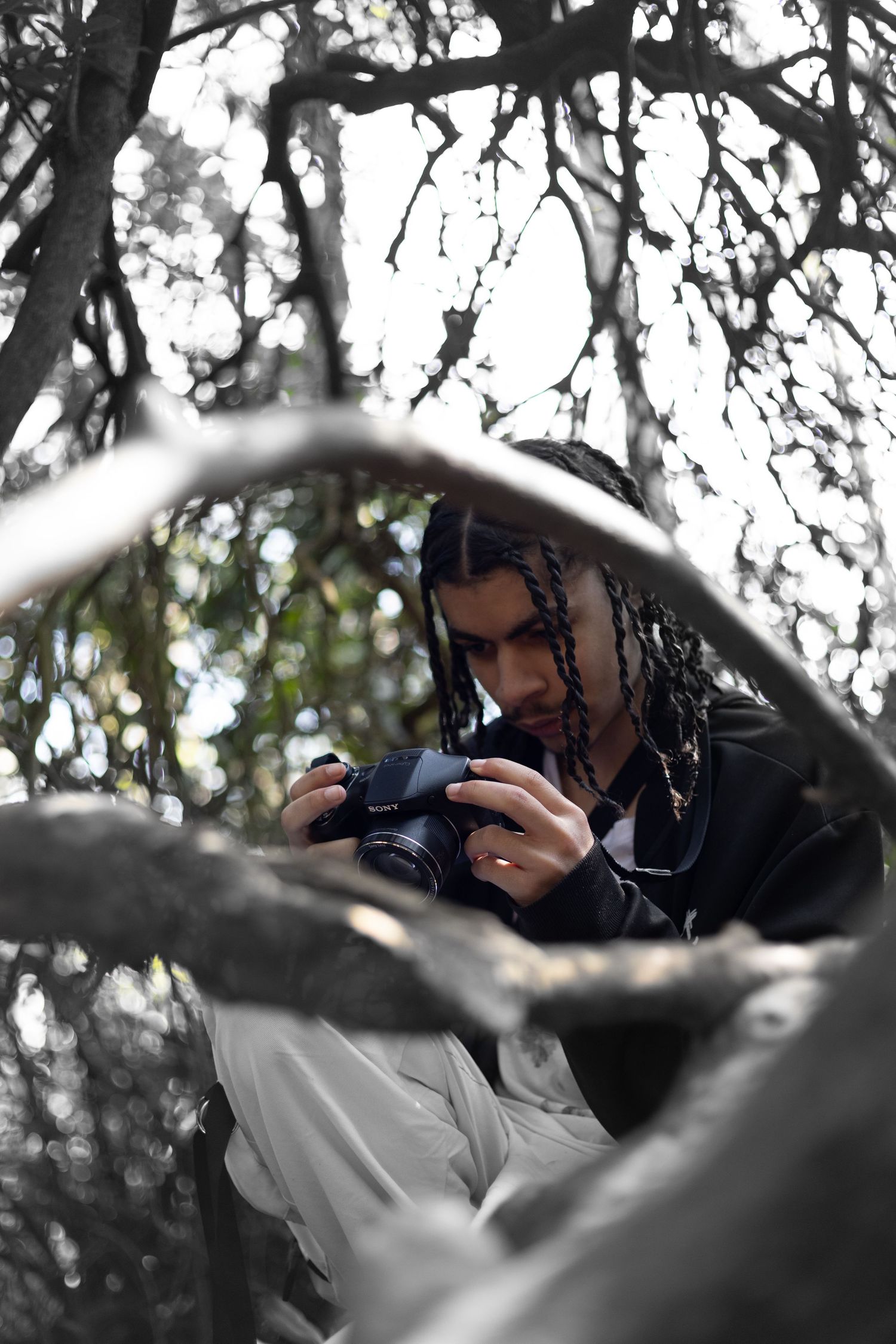 Photographer with dreadlocks reviewing images on camera while surrounded by tree branches.