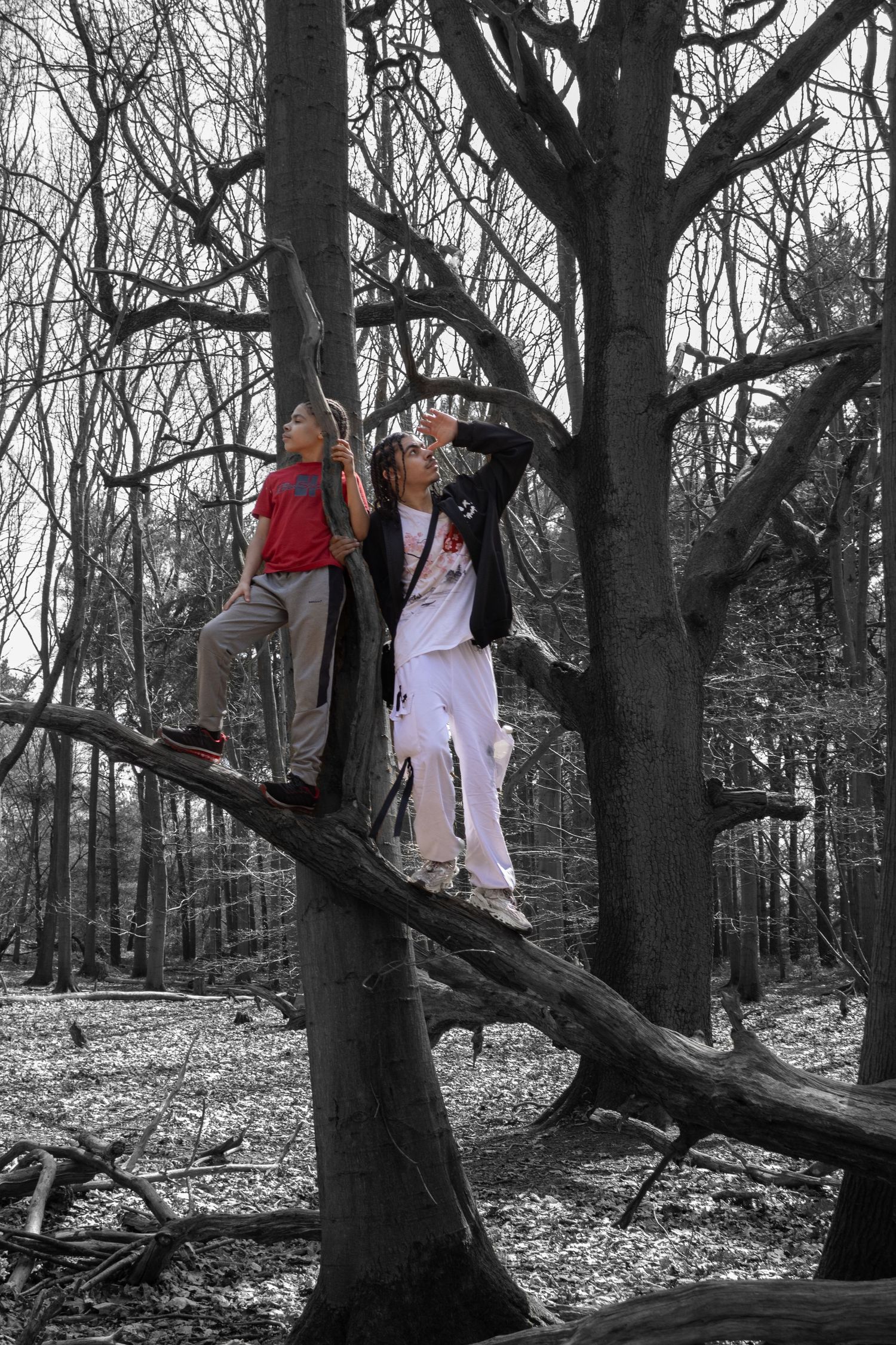 Two people climbing a fallen tree in a black and white forest scene with color accents.