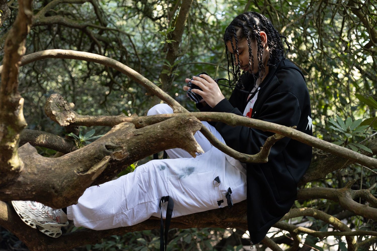Person with braids sitting in a tree using a camera in a lush green forest.