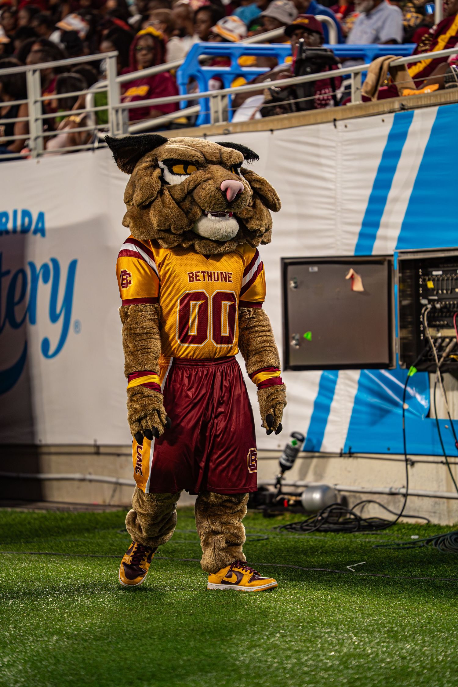 Bethune-Cookman Wildcats mascot wearing jersey #00 performs on the sideline during a game.