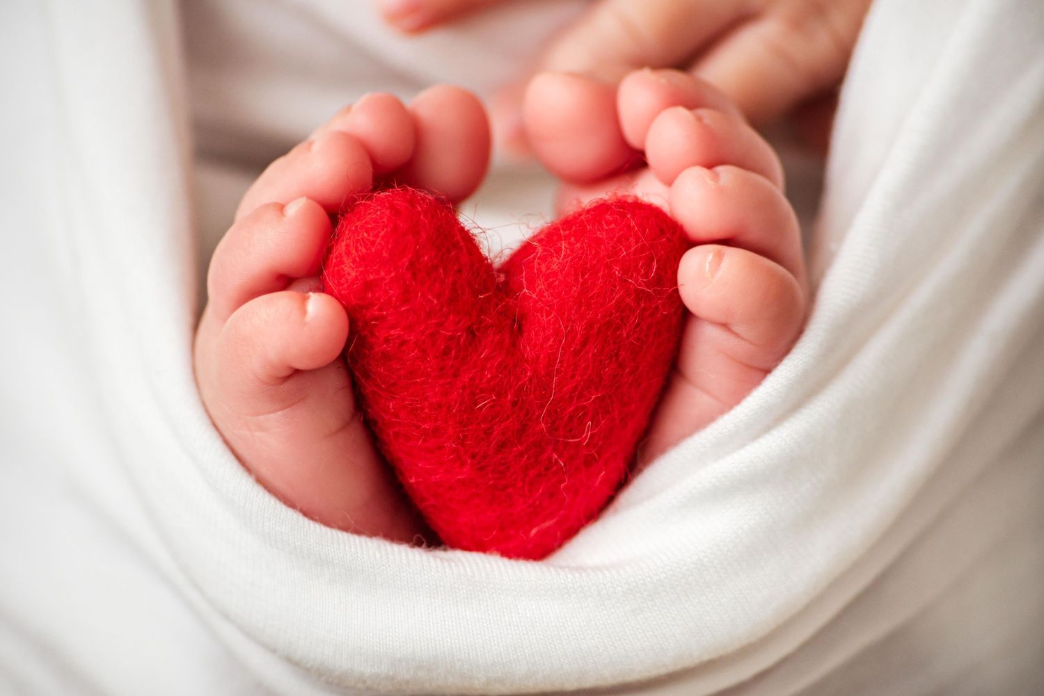 Newborn feet holding a felted heart during a newborn session