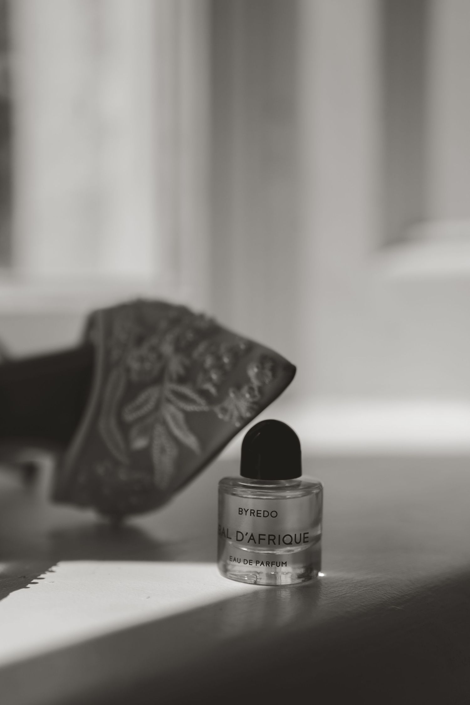 Close-up view of a blurred ring with engraved patterns displaying a shallow depth of field effect in monochrome.