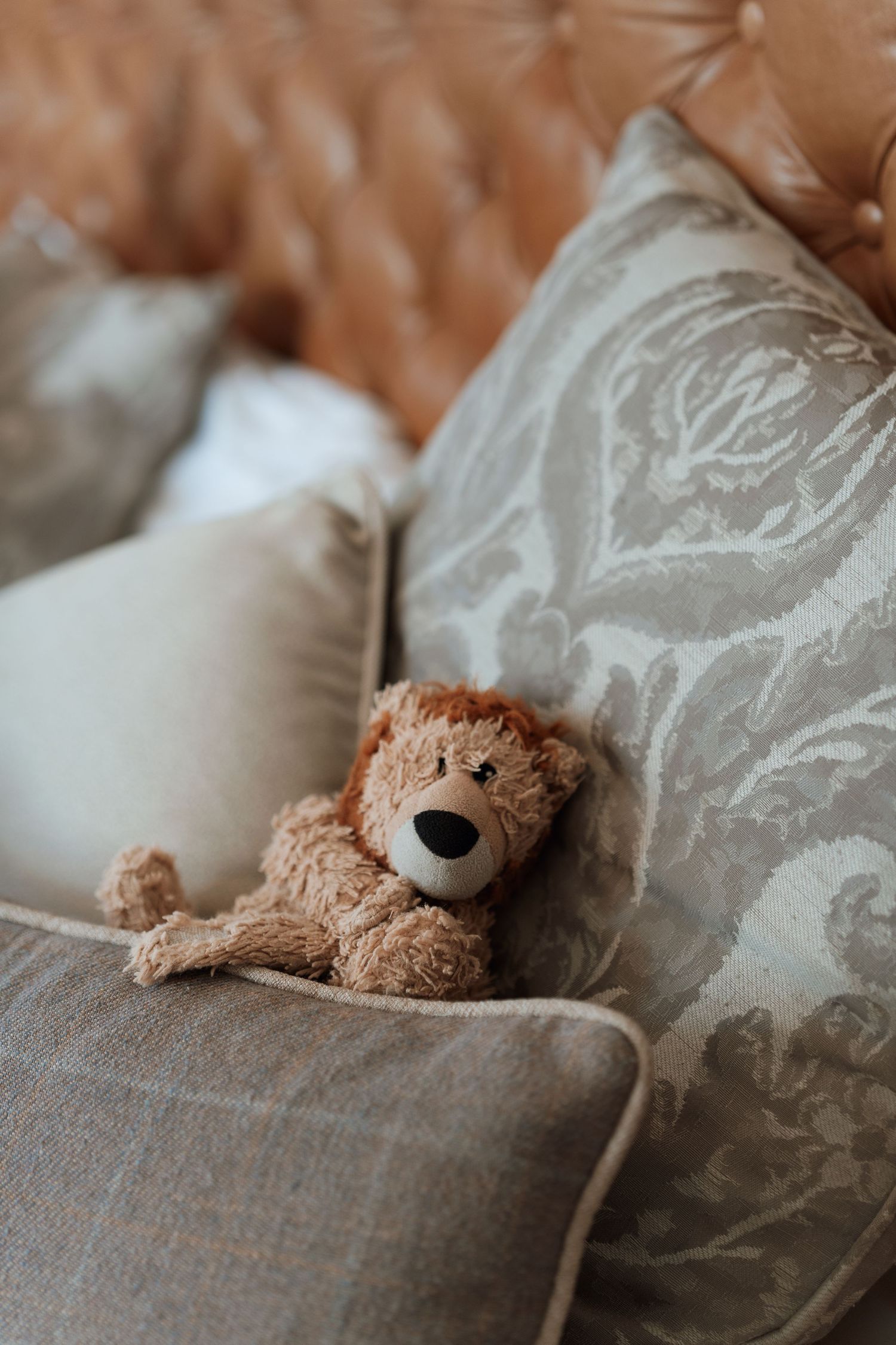 A brown teddy bear resting on gray cushions with decorative damask pattern pillows.