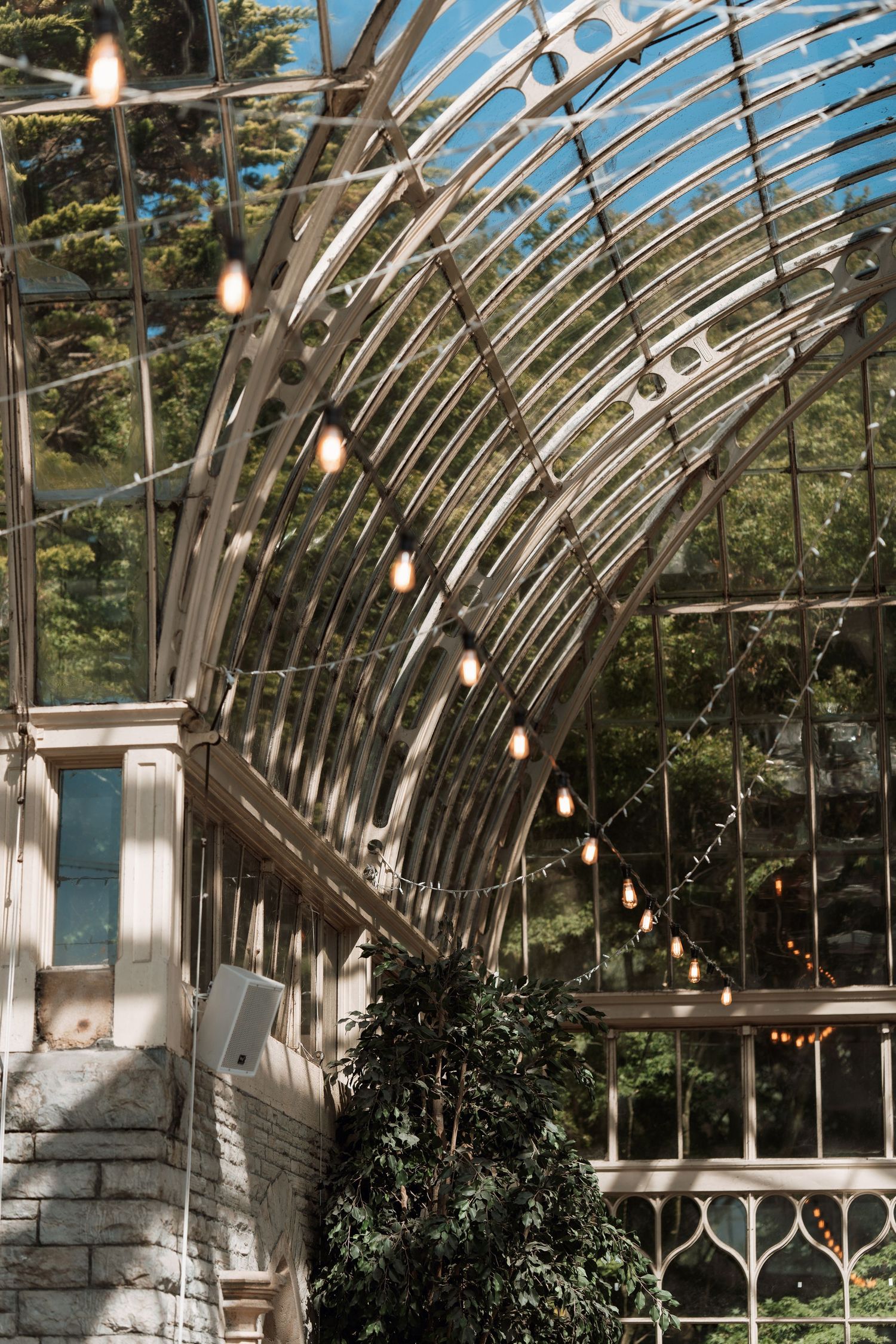 String lights illuminate an elegant curved glass greenhouse with metal arches and stone base against leafy backdrop.