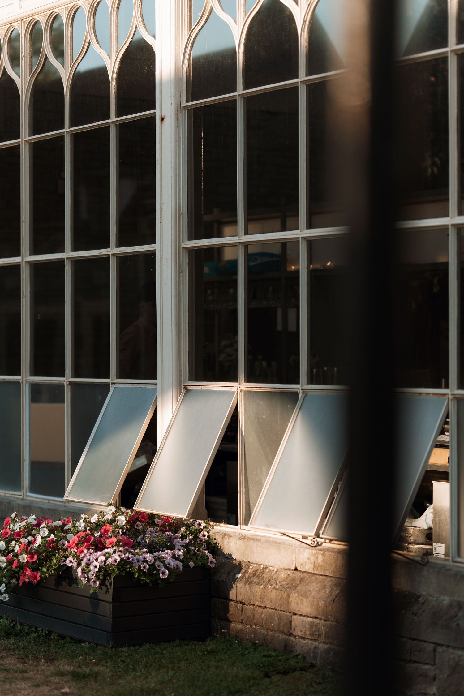 Row of arched windows with window boxes filled with pink flowers at sunset.
