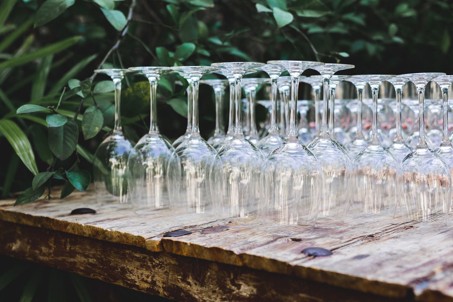 Rows of empty wine glasses turned upside down on a rustic wooden table outdoors with green foliage background.
