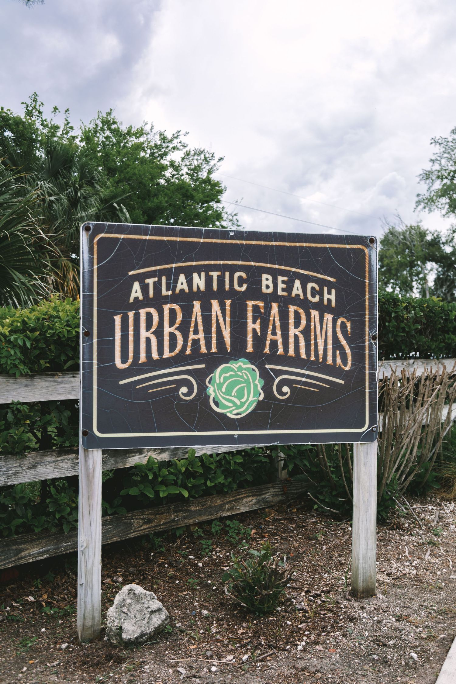 Atlantic Beach Urban Farms rustic wooden sign with green cabbage logo against lush greenery.