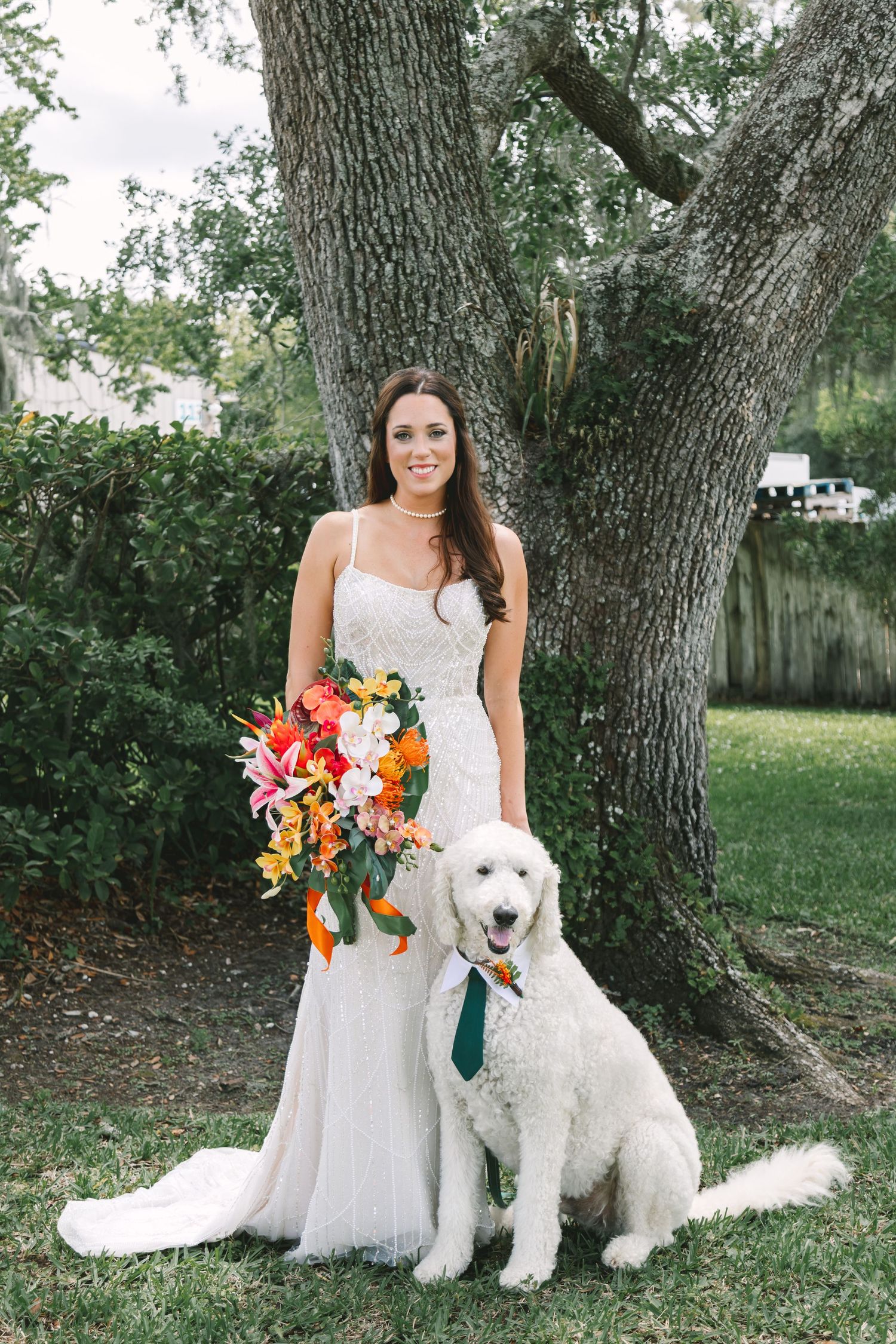 Bride in fitted white gown holding colorful bouquet poses with white goldendoodle wearing green tie.
