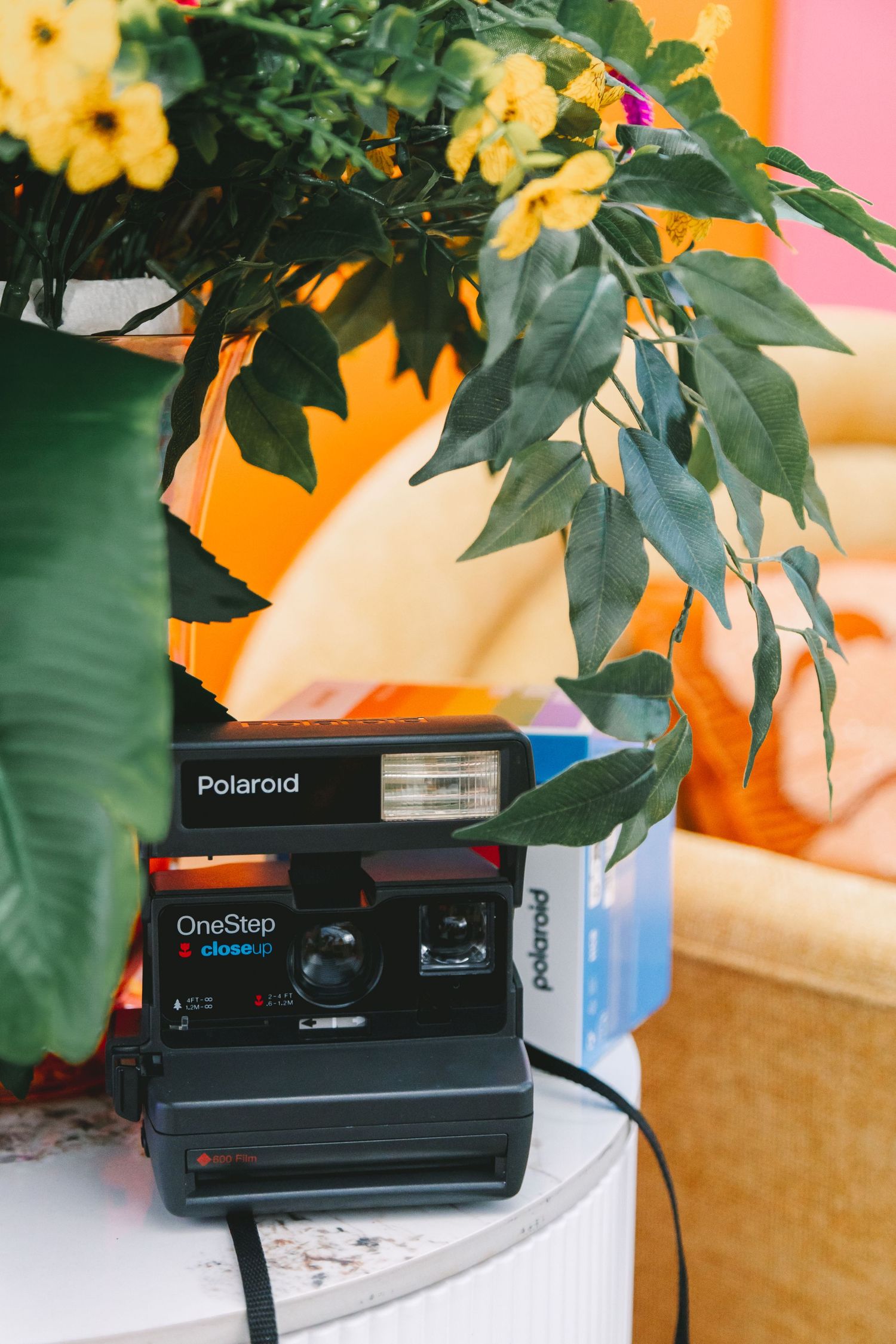 Vintage Polaroid OneStep Close-Up instant camera sitting on white surface surrounded by yellow flowers and green leaves.
