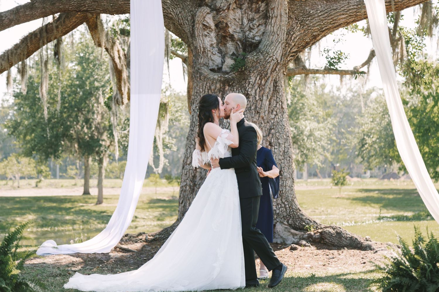 Bride and groom share a kiss beneath a large oak tree draped with white fabric at an outdoor wedding in Florida.