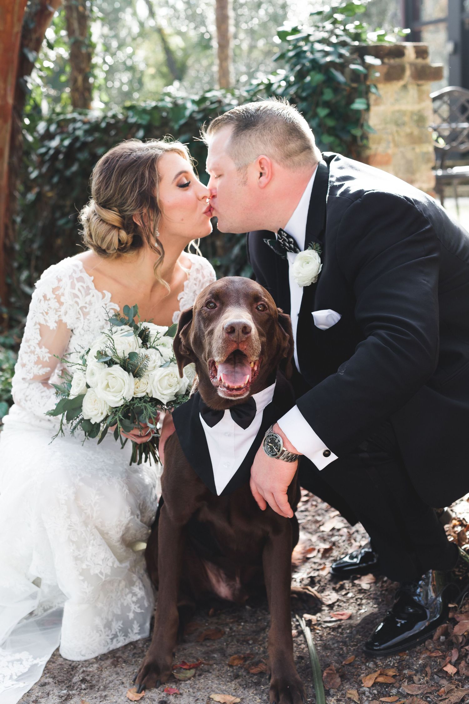 Bride and groom kissing over their chocolate Labrador dog wearing a bow tie.