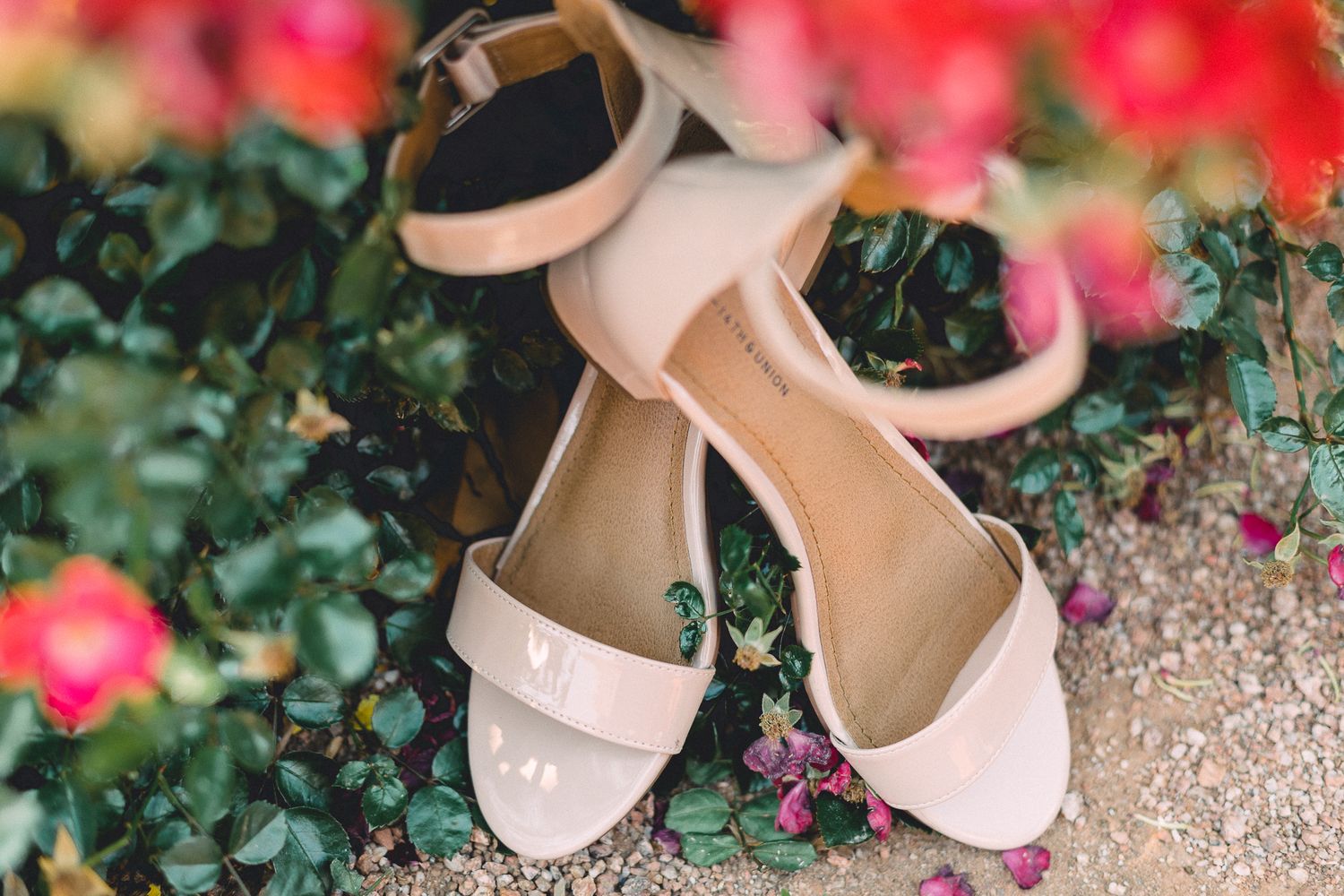 Elegant blush pink block heel wedding sandals resting among colorful garden flowers.