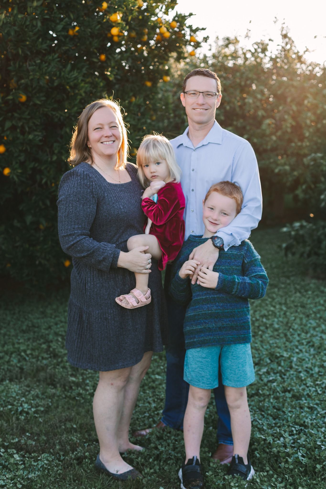 Happy family of four posing in golden sunlight near orange fruit trees outdoors.