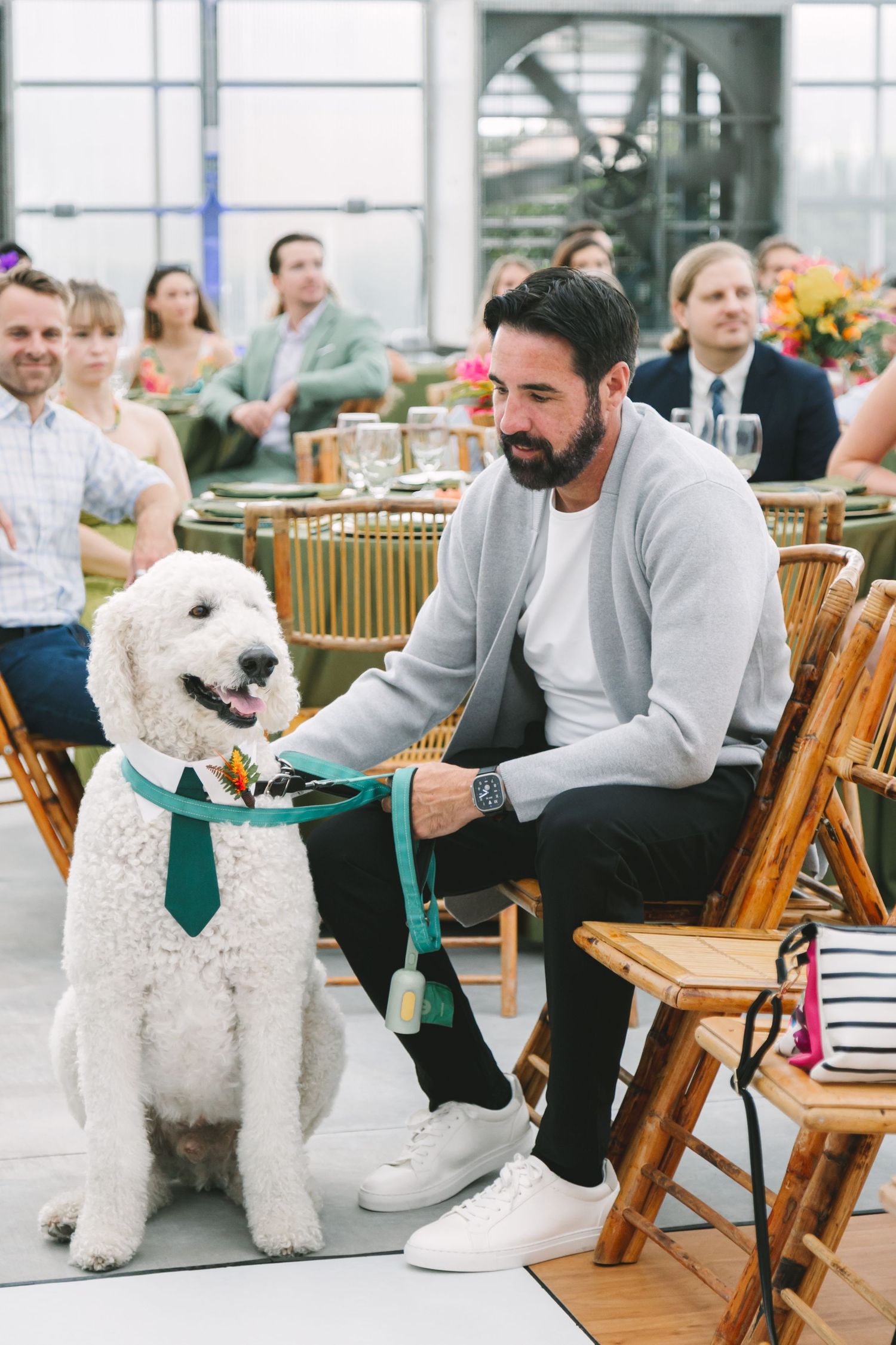 A bearded man in a gray cardigan pets a white Goldendoodle wearing a green tie at an elegant wedding reception.