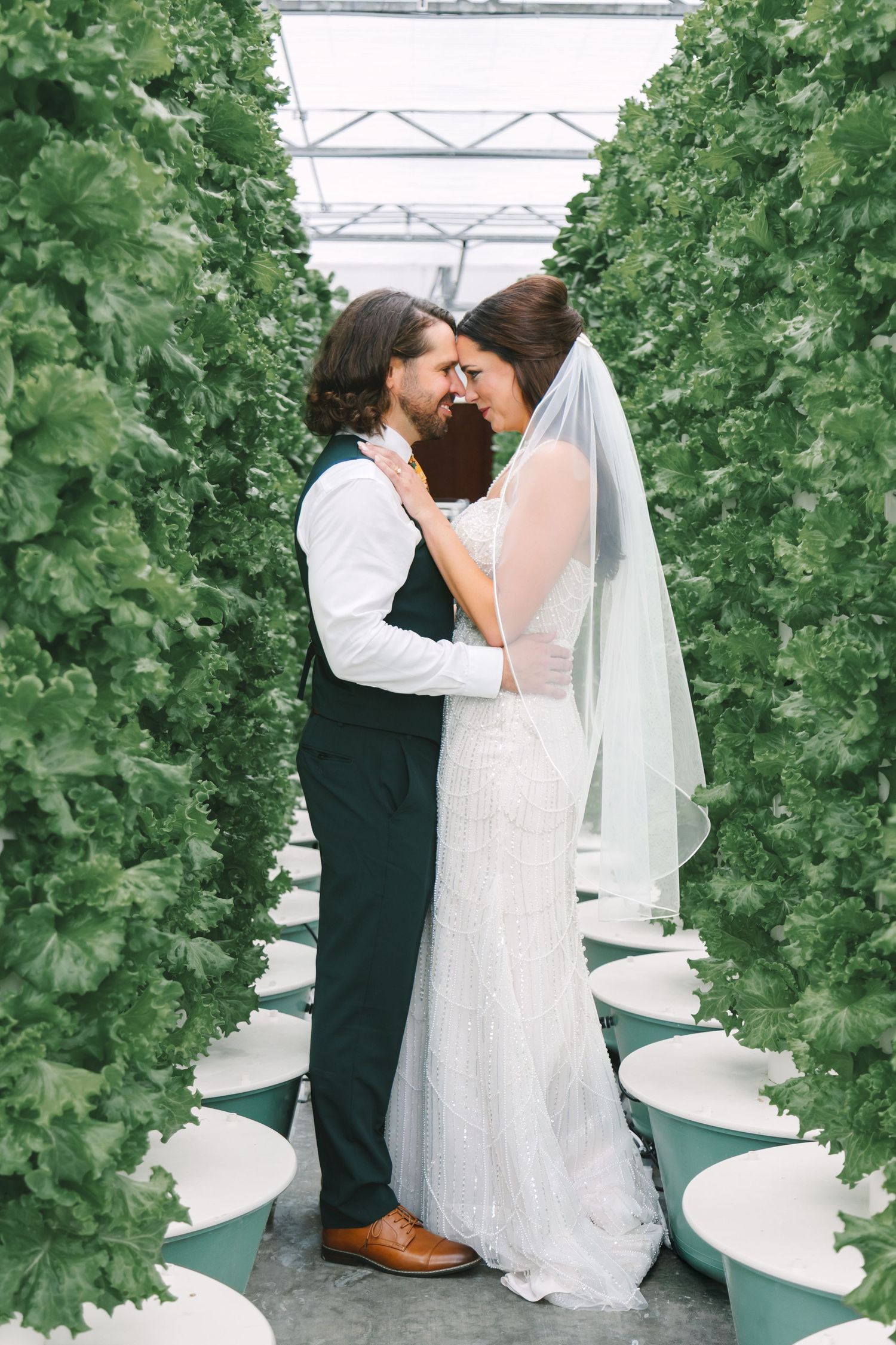 Bride and groom share romantic moment among lush green plants in greenhouse wedding photo.