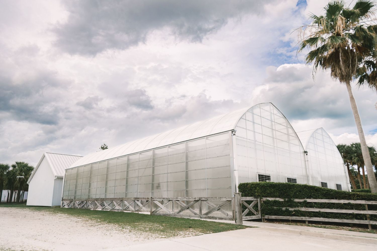 Large white greenhouse structure with arched roof beside palm trees under cloudy sky on a farm property.