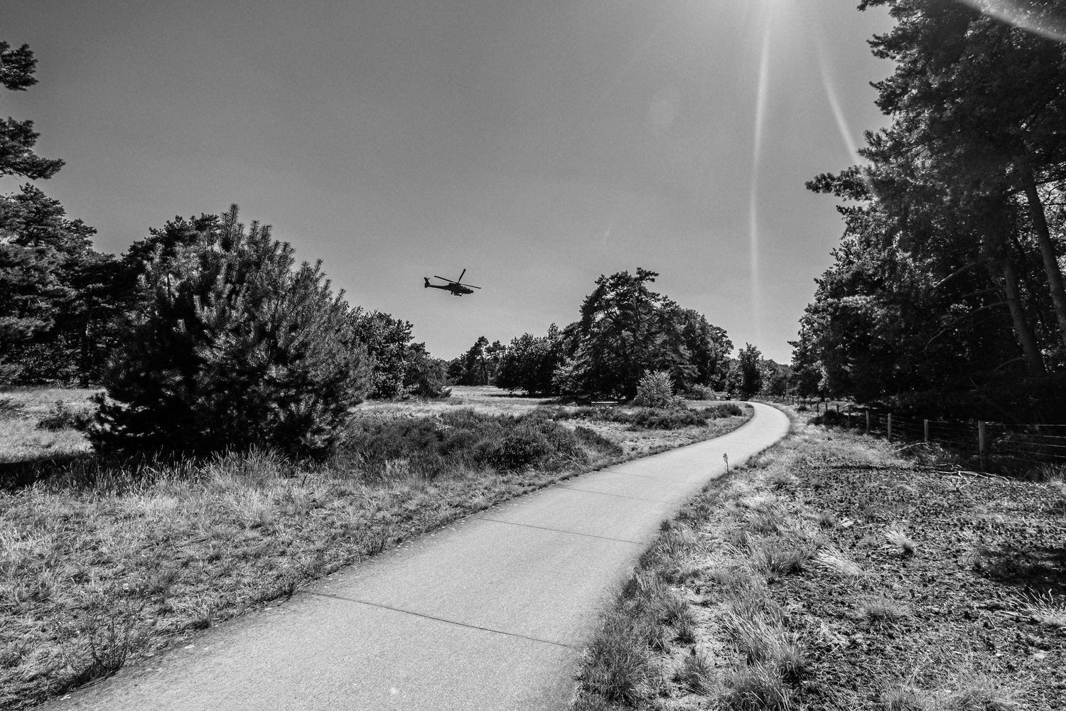 Nature photography capturing natural landscapes, light and atmosphere in a calm outdoor setting.