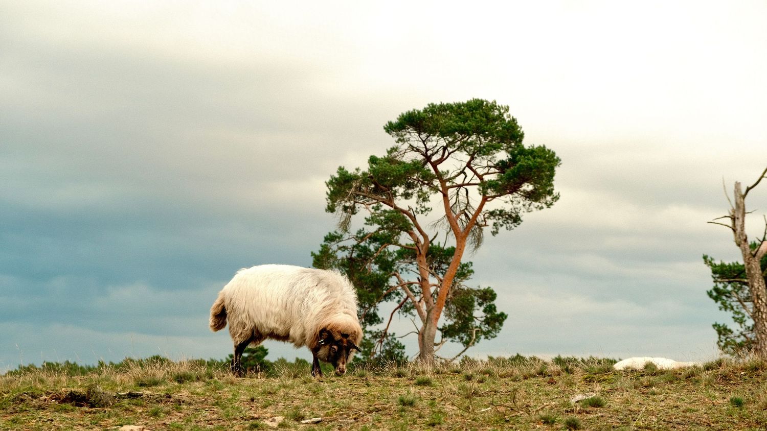 Nature photography capturing natural landscapes, light and atmosphere in a calm outdoor setting.