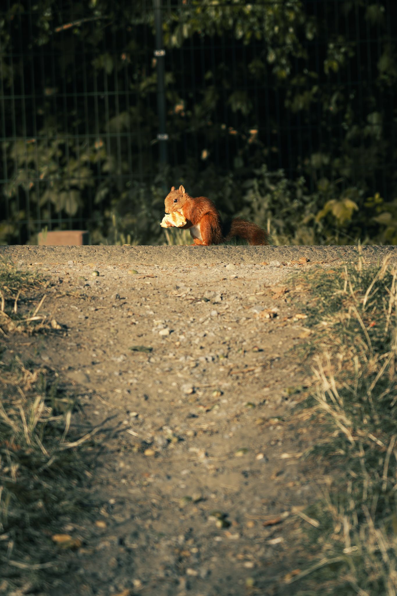Nature photography capturing natural landscapes, light and atmosphere in a calm outdoor setting.