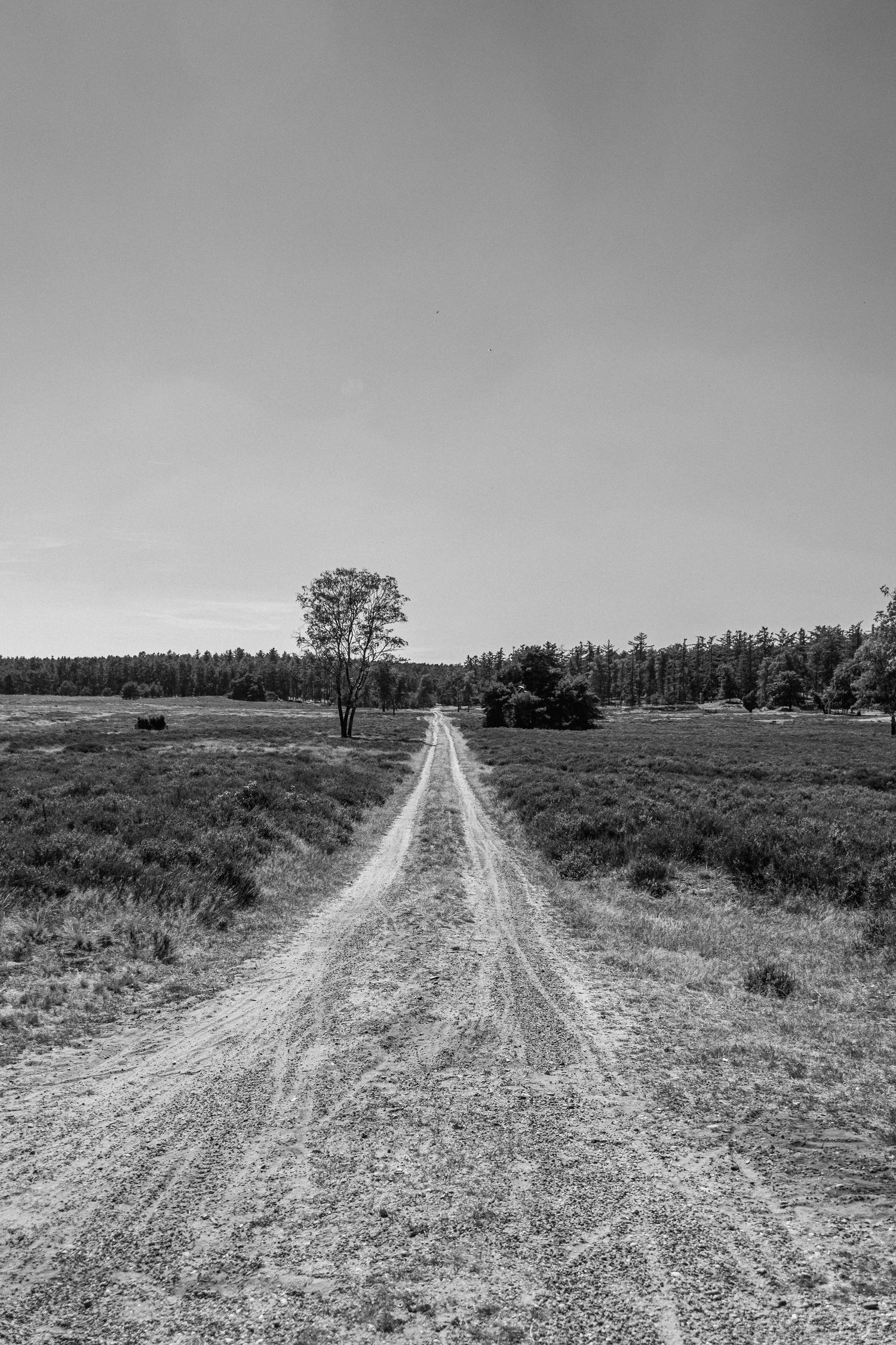 Nature photography capturing natural landscapes, light and atmosphere in a calm outdoor setting.