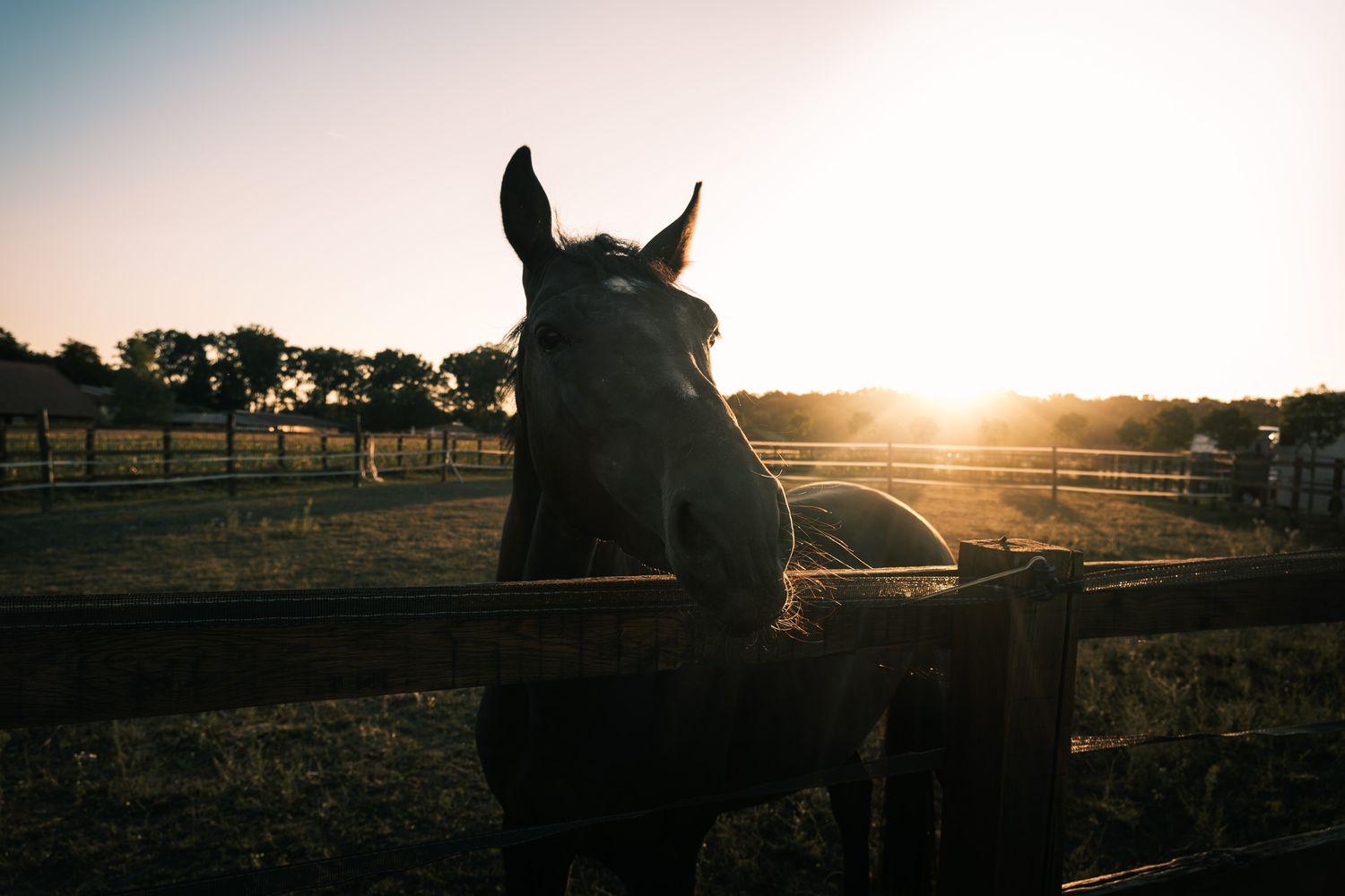 Nature photography capturing natural landscapes, light and atmosphere in a calm outdoor setting.