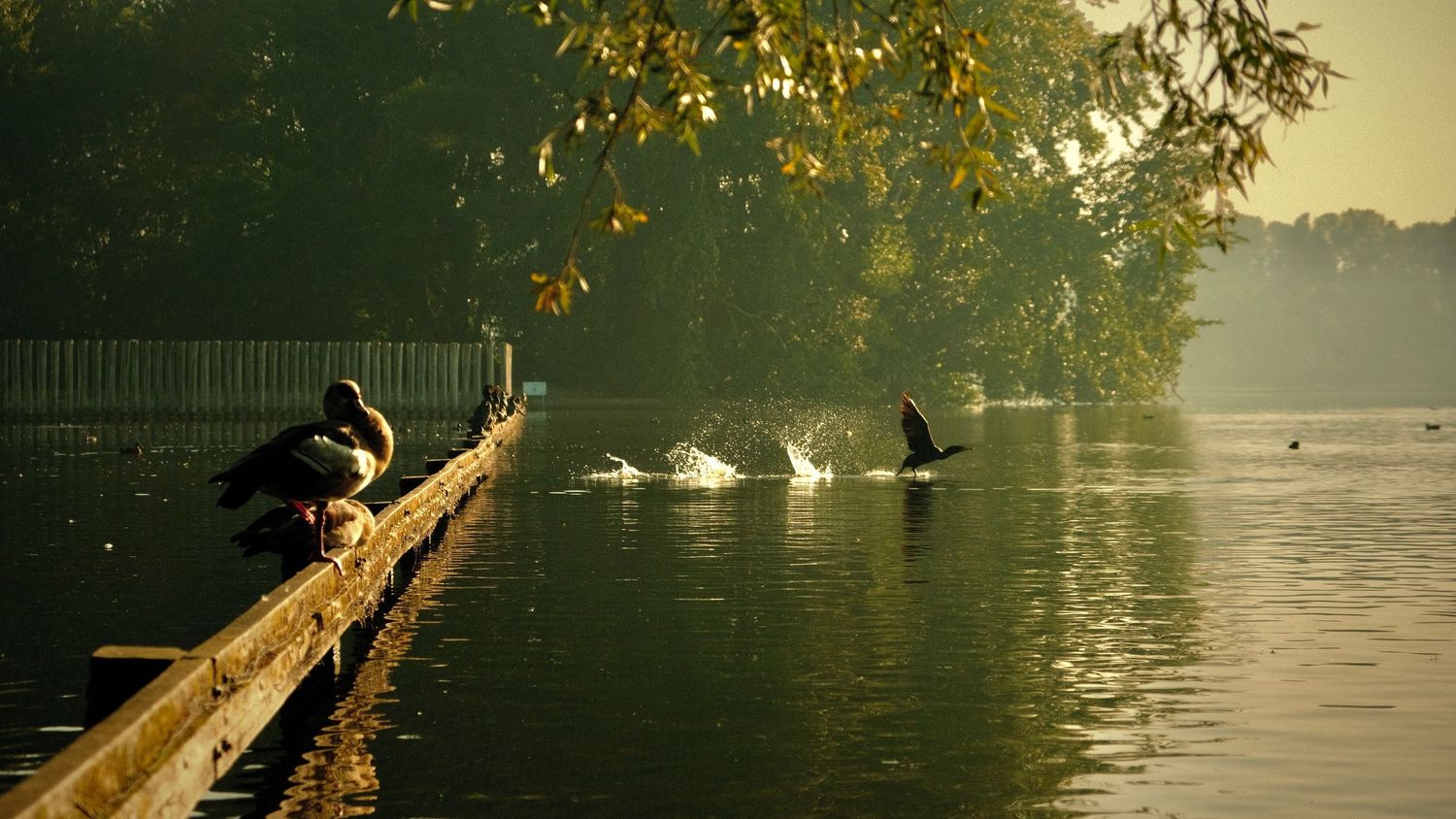 Nature photography capturing natural landscapes, light and atmosphere in a calm outdoor setting.