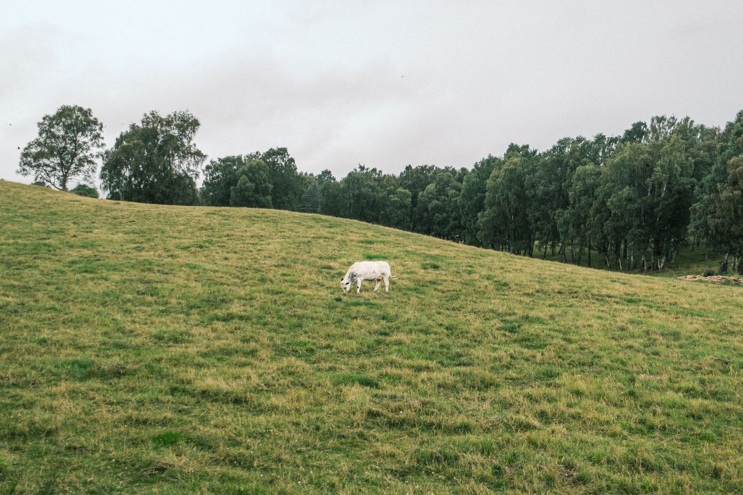 Nature photography capturing natural landscapes, light and atmosphere in a calm outdoor setting.