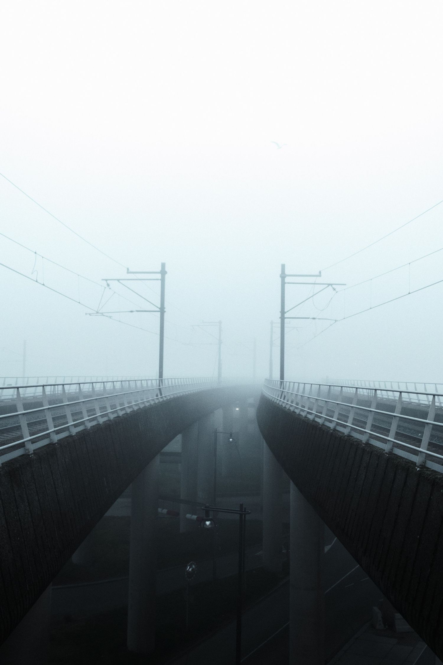 Morning mist in Amsterdam capturing soft light, quiet streets and a cinematic urban atmosphere.