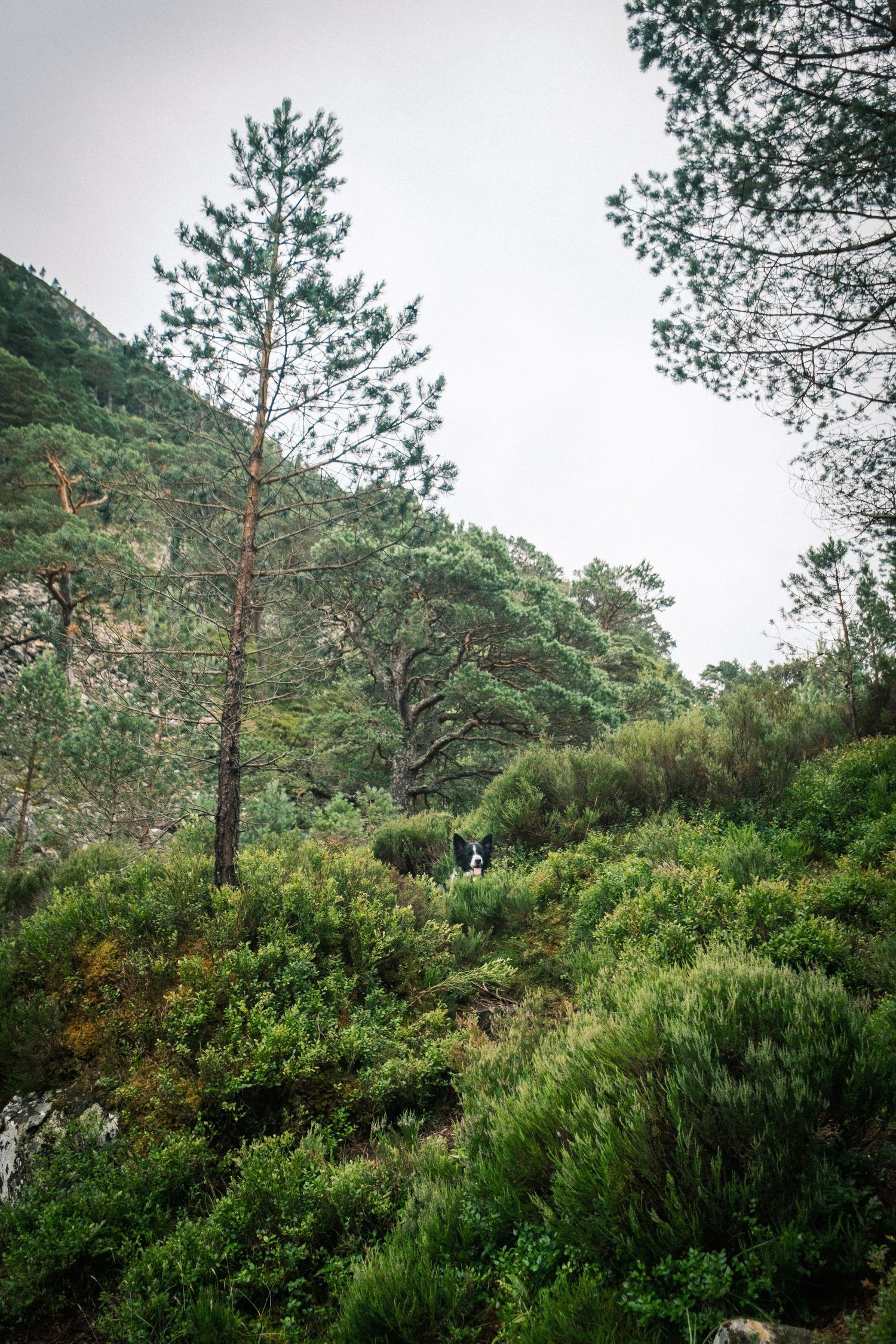 Nature photography capturing natural landscapes, light and atmosphere in a calm outdoor setting.