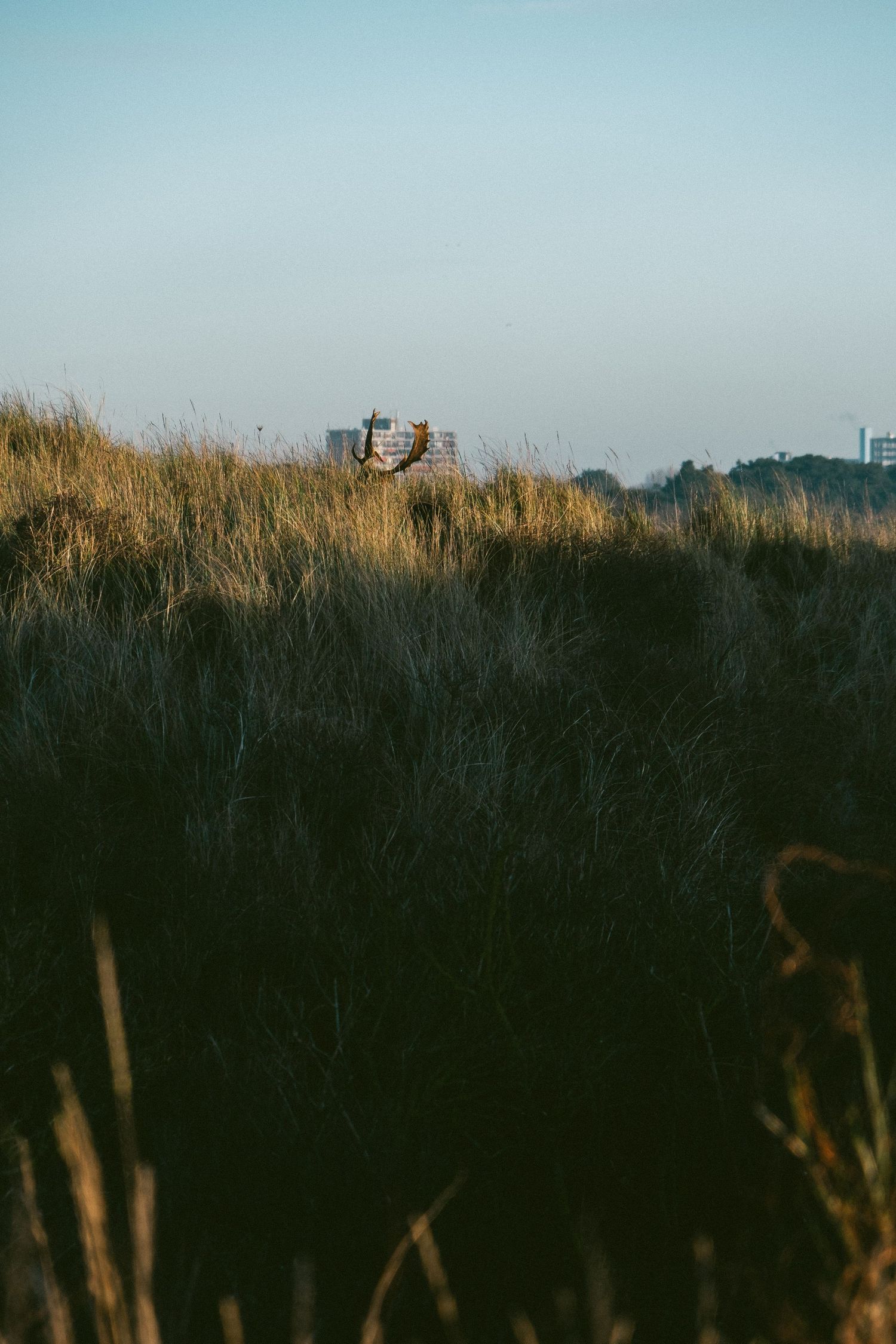 Nature photography capturing natural landscapes, light and atmosphere in a calm outdoor setting.