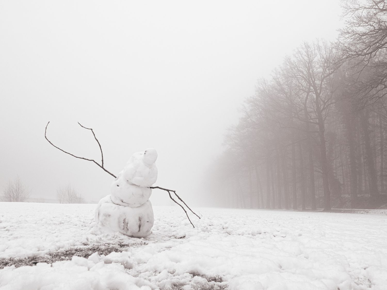 Foggy Tervuren park with snowman