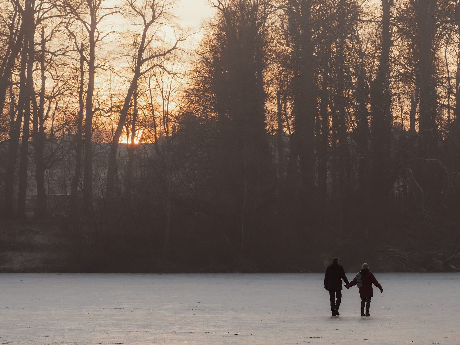 People walking on iced over Tervuren Pond Belgium