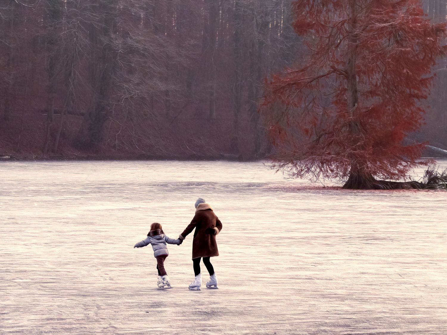 Tervuren Park pond frozen over in winter with two people ice skating